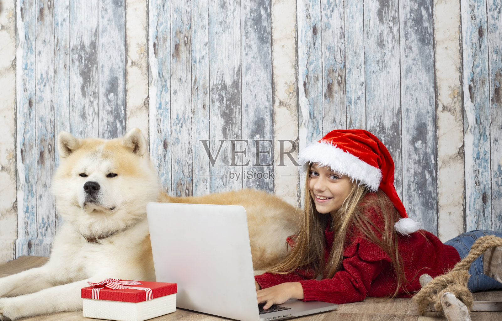 圣诞节带着笔记本和狗的女孩照片摄影图片