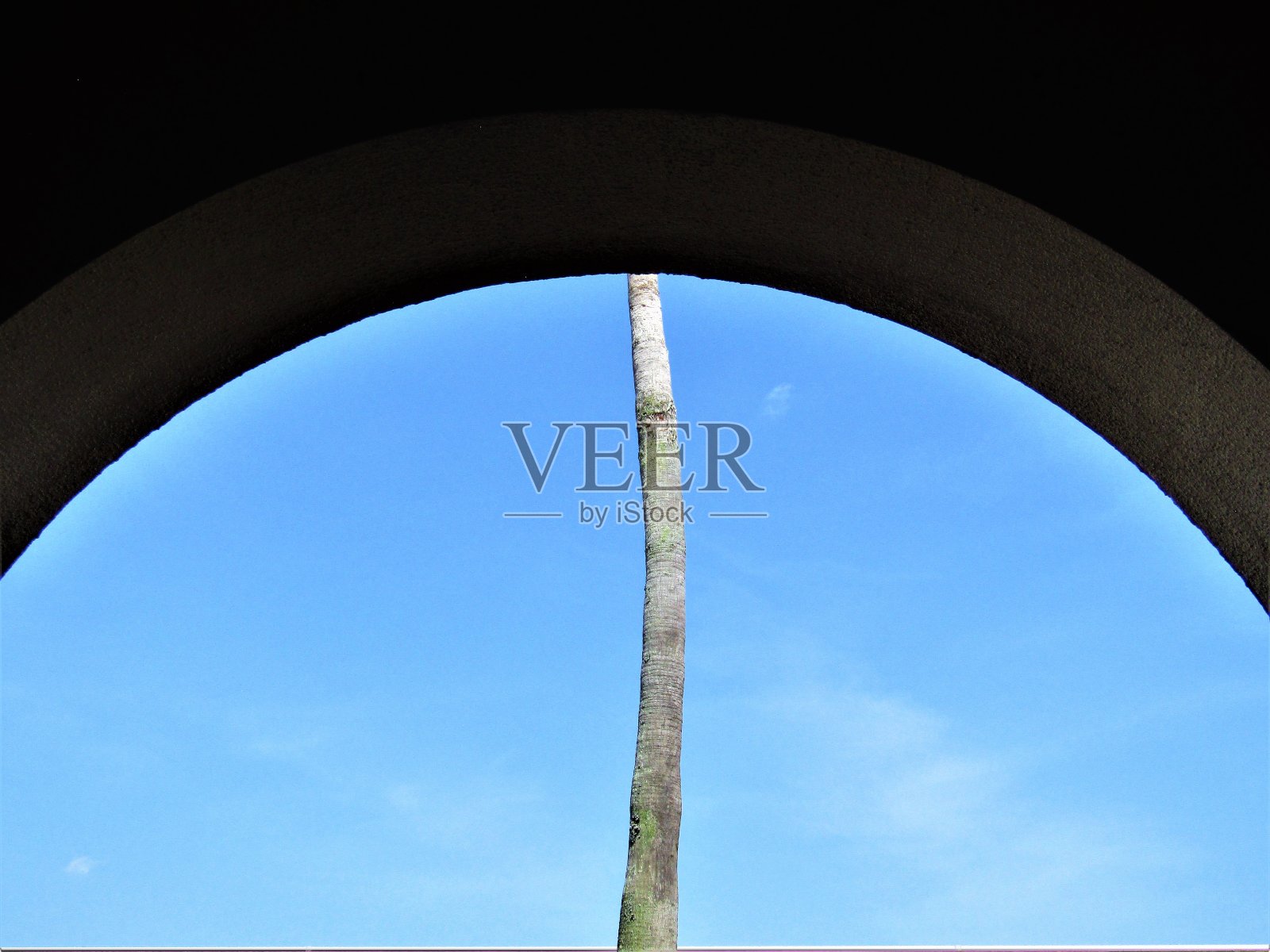 拱门和棕榈树。组成。照片摄影图片