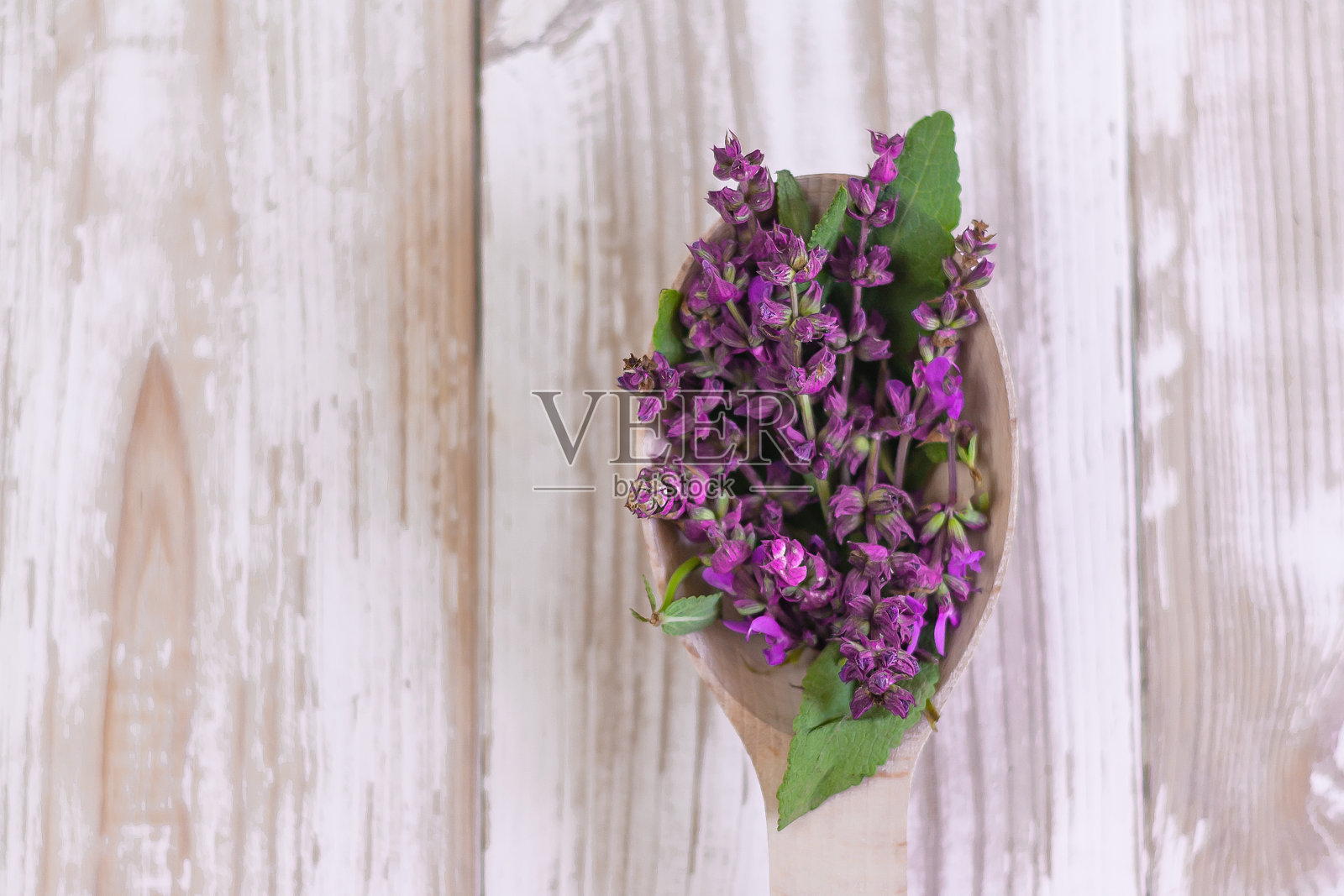 木勺鼠尾草花在白色木质背景与复制空间。照片摄影图片