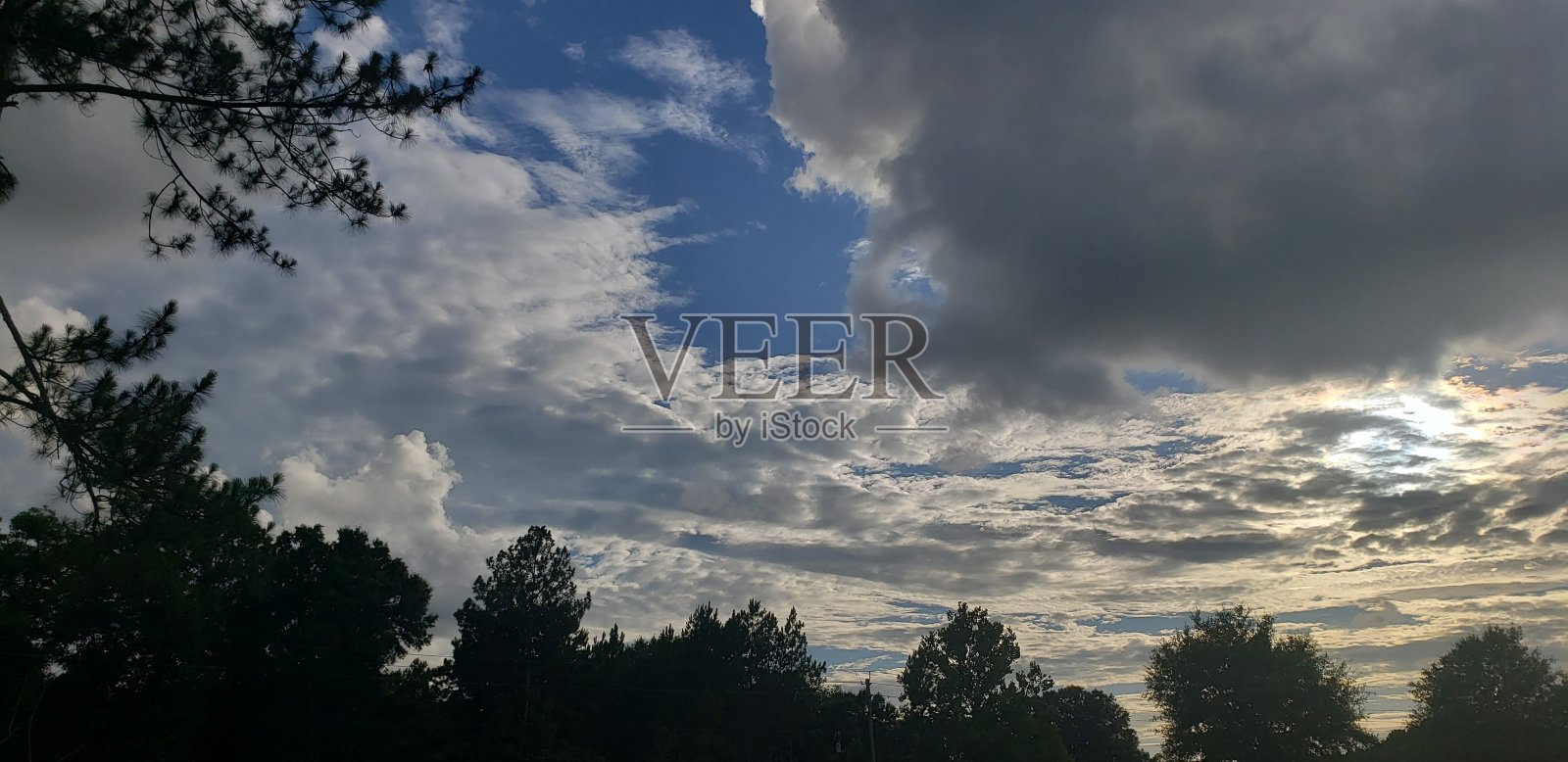 可怕的晚上视图照片摄影图片