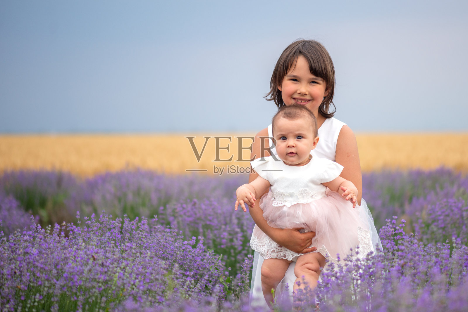 全家福在薰衣草田，两姐妹一起玩照片摄影图片