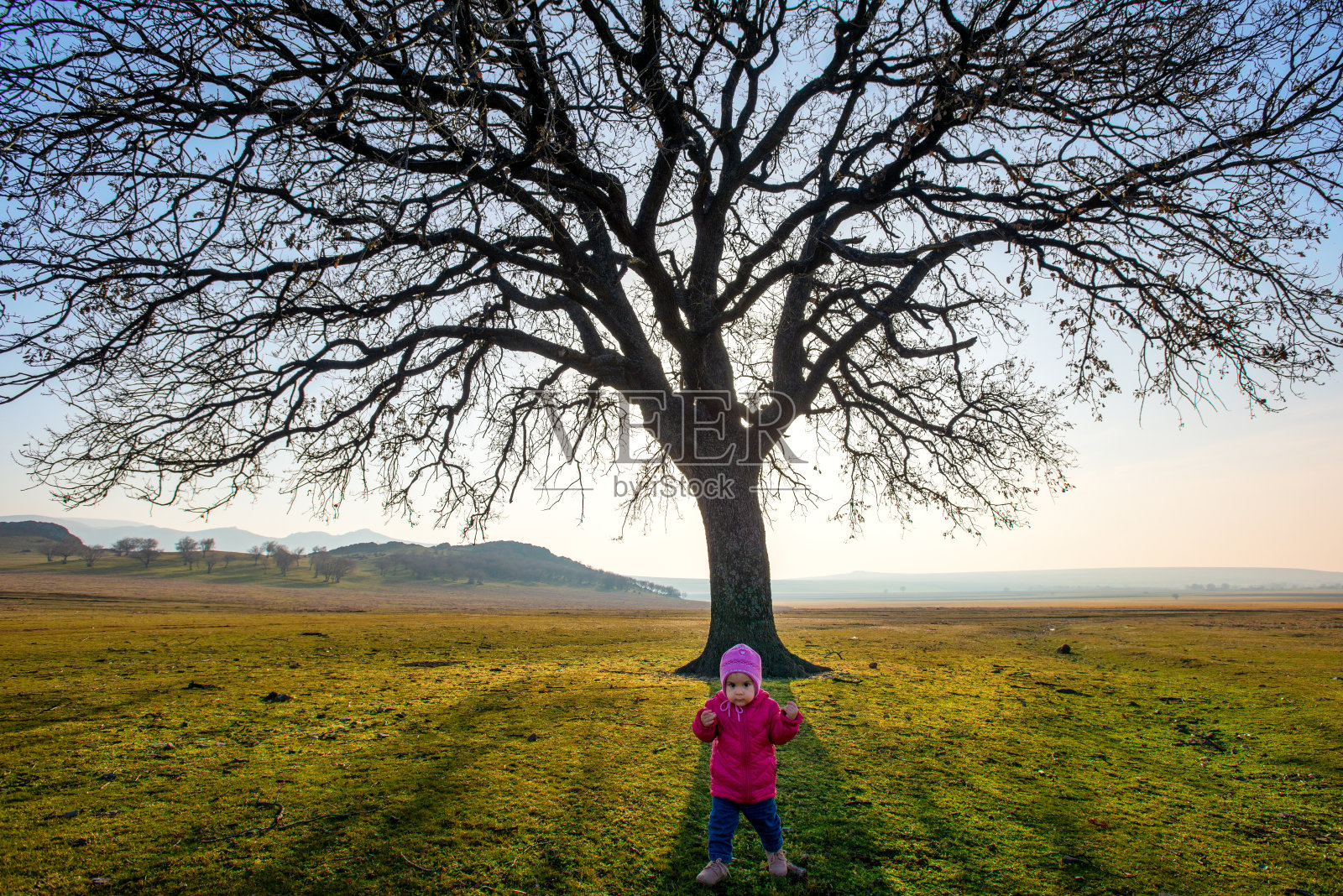夕阳下老橡树旁的一个小孩照片摄影图片