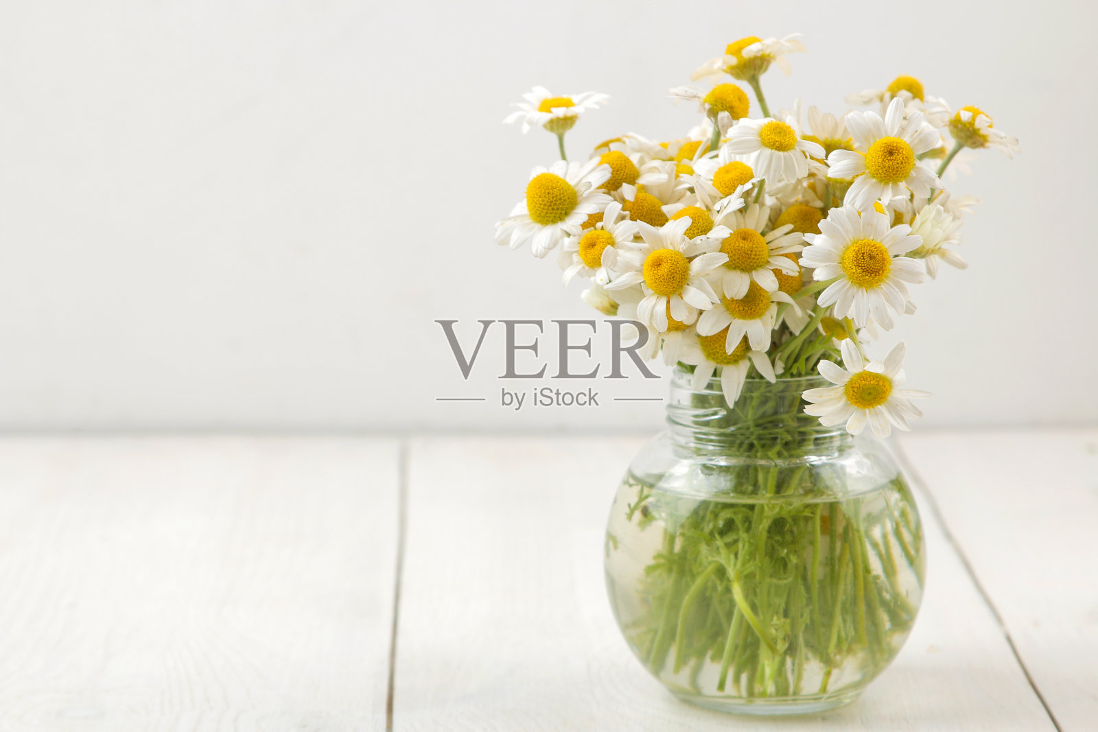 洋甘菊。白色木桌上的花瓶里放着药用的小洋甘菊花。空间的文本照片摄影图片