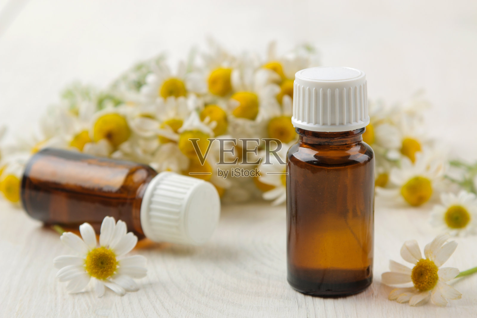 洋甘菊。白色的木桌上放着带香油的药用甘菊小花。特写镜头照片摄影图片