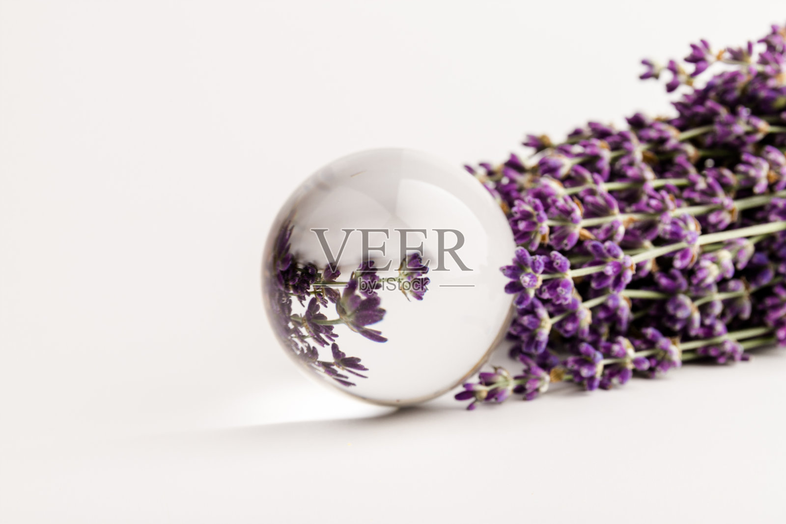 近距离拍摄薰衣草花(Lavandula angustifolia, Hidcote)芳香的紫蓝色夏季花，原产于地中海。艺术水晶球效果。照片摄影图片