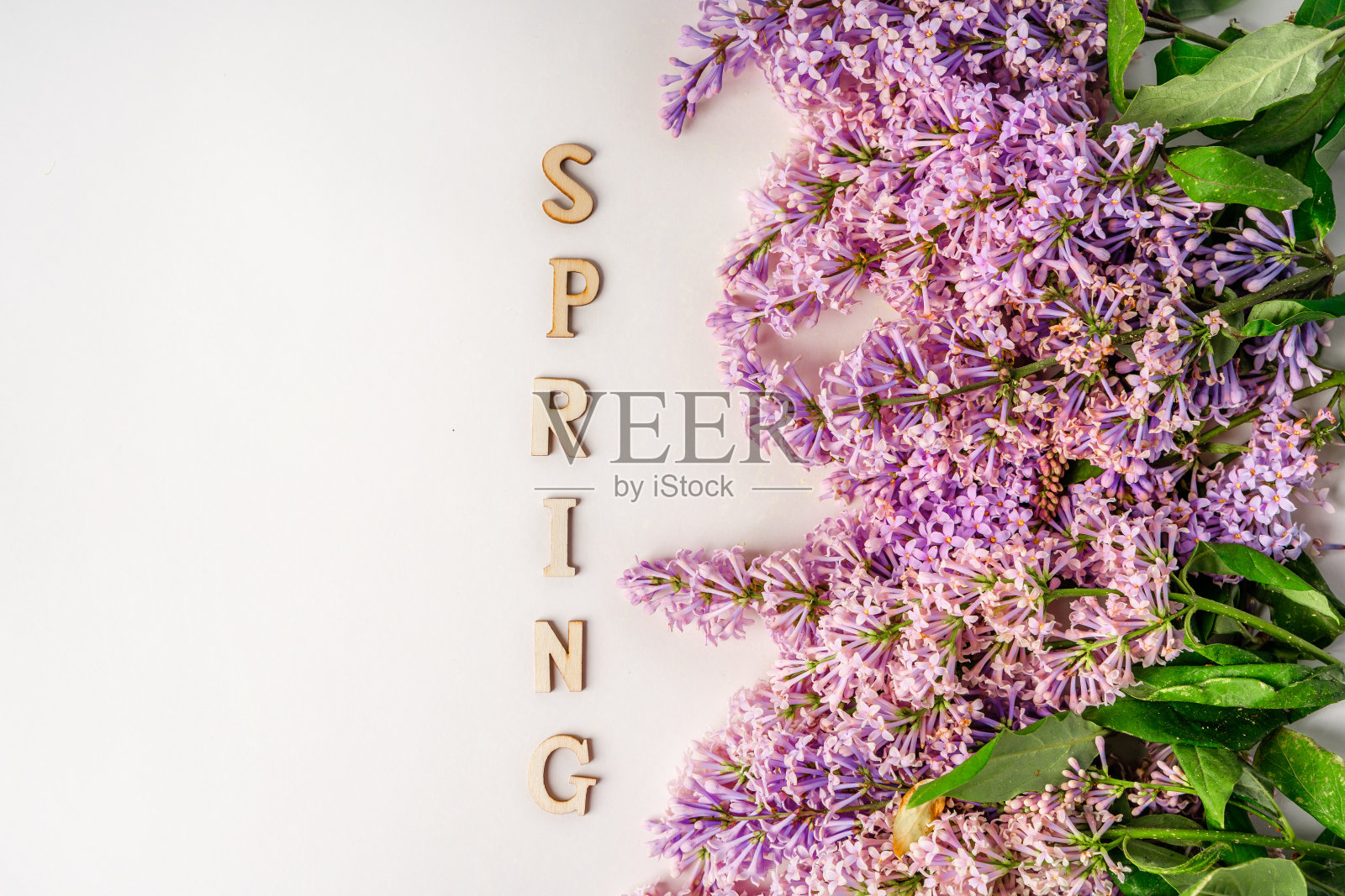 木制的字母“春天”配着一束紫丁香，浪漫的春天横幅孤立在白色的背景上照片摄影图片