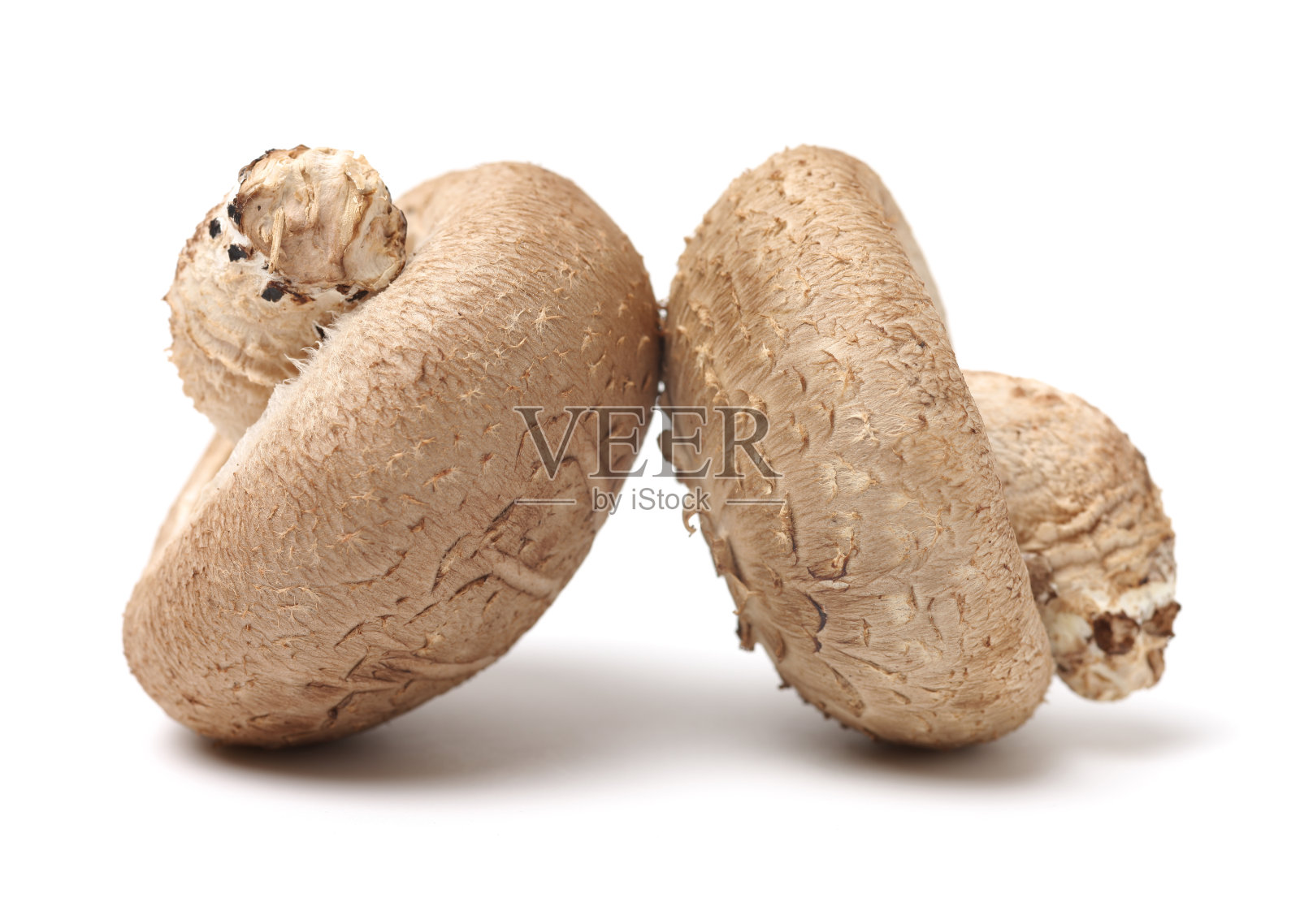 香菇照片摄影图片