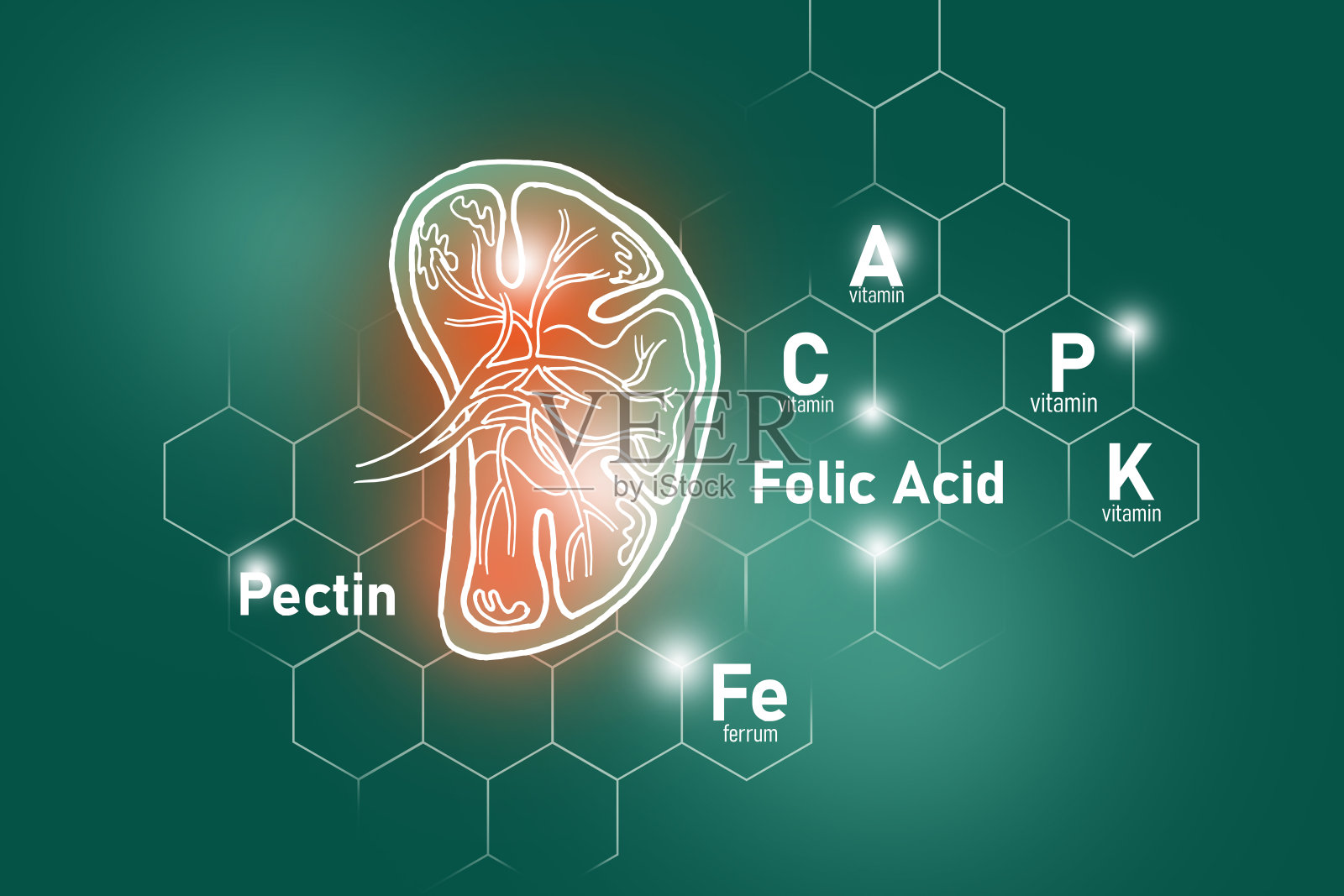 果胶、叶酸、维生素P、铁等对脾健康至关重要。插画图片素材