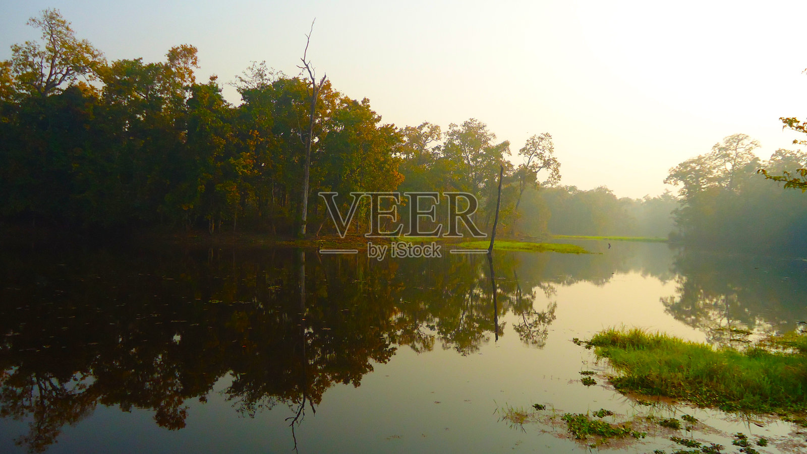 公园照片摄影图片