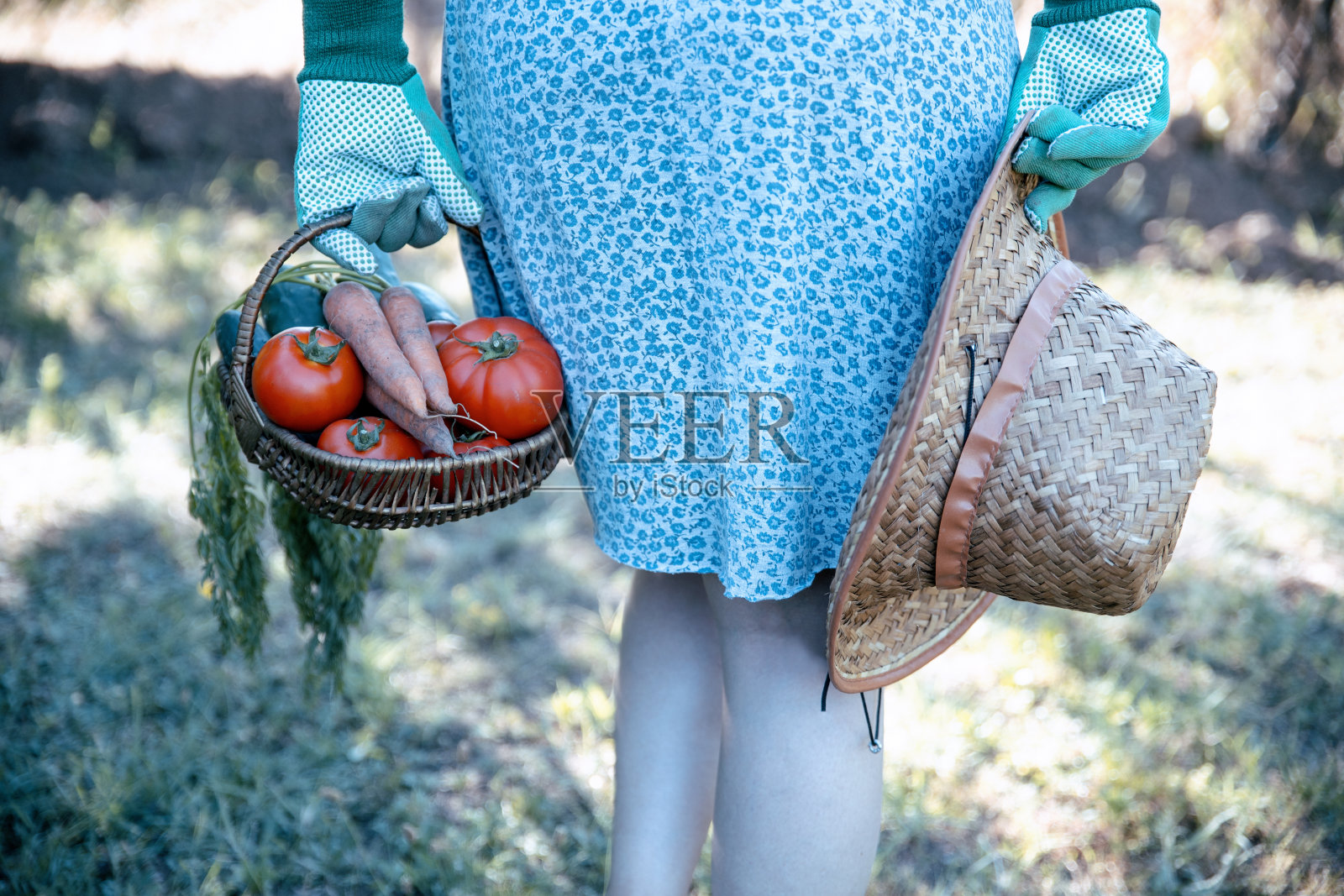 篮子里装着新鲜蔬菜的女农民照片摄影图片