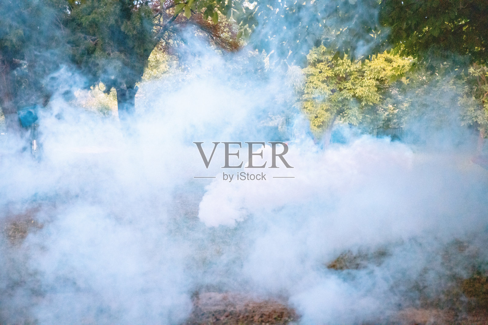 后院蚊子喷洒照片摄影图片