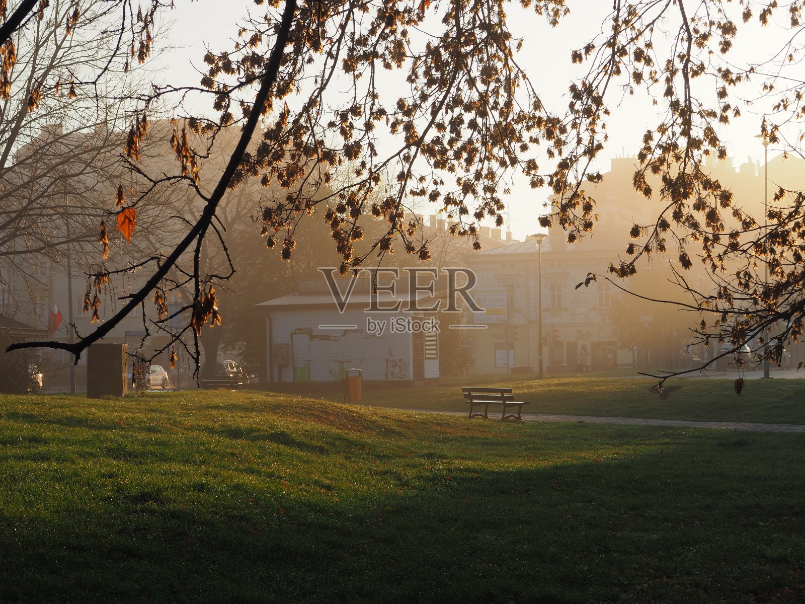 Przemysl夏季日出时，有雾的木凳可以看到空旷的公园照片摄影图片