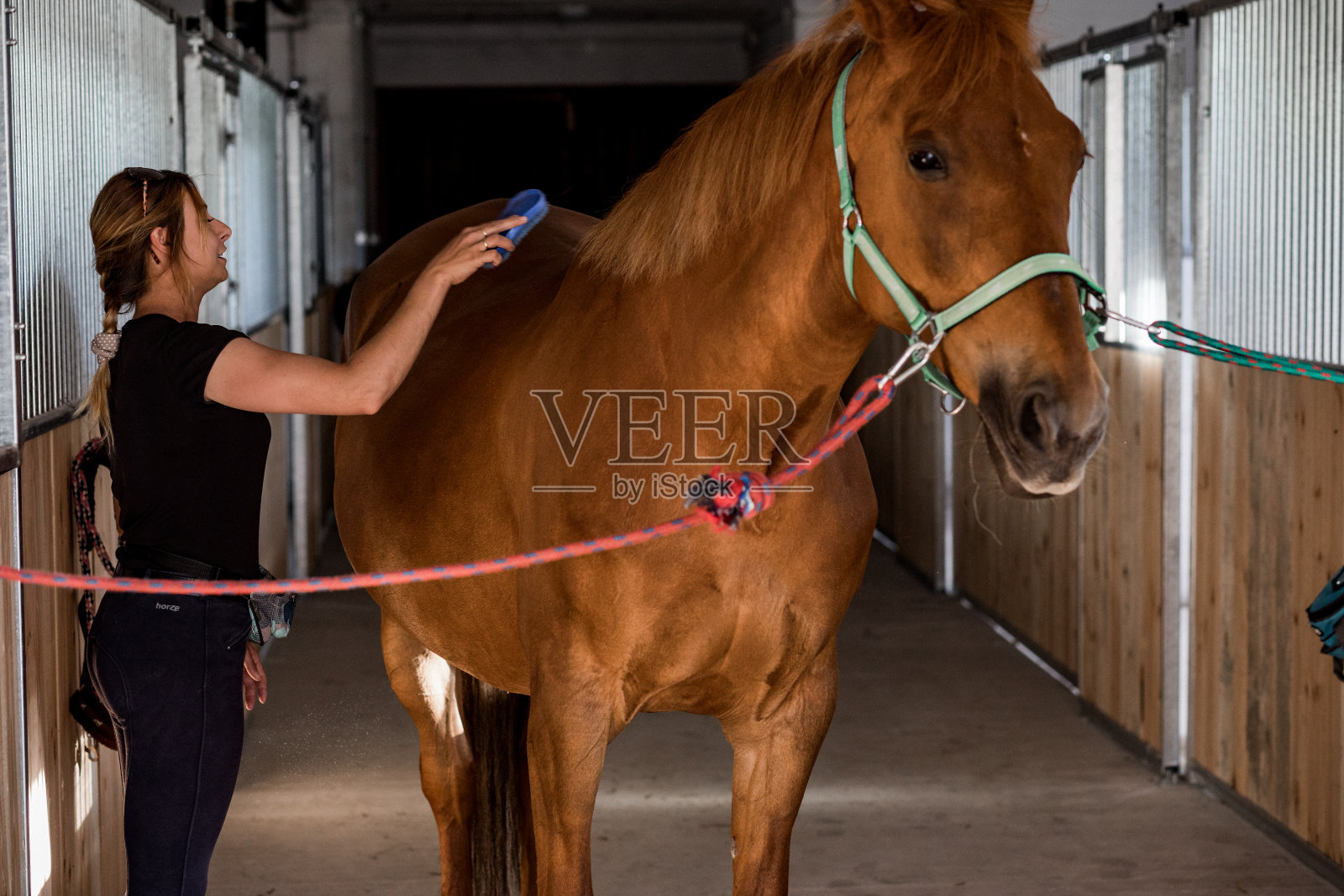 年轻女子散步后给马刷毛。动物保健。积极的休闲活动。美丽和健康。可持续的生活方式。照片摄影图片