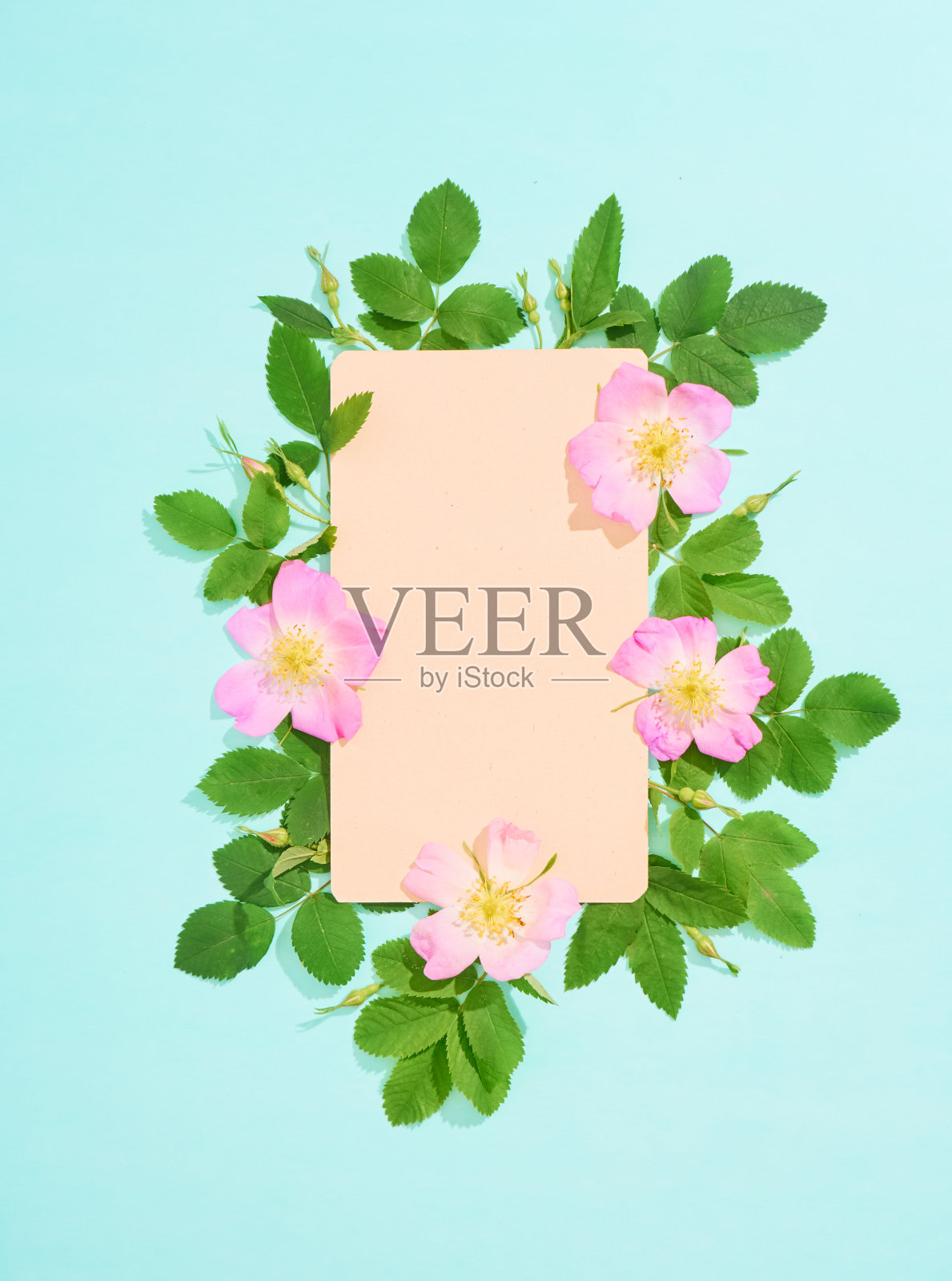 纸和花照片摄影图片