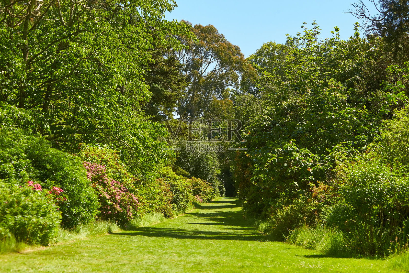爱尔兰威克洛郡的艾沃萨花园。照片摄影图片