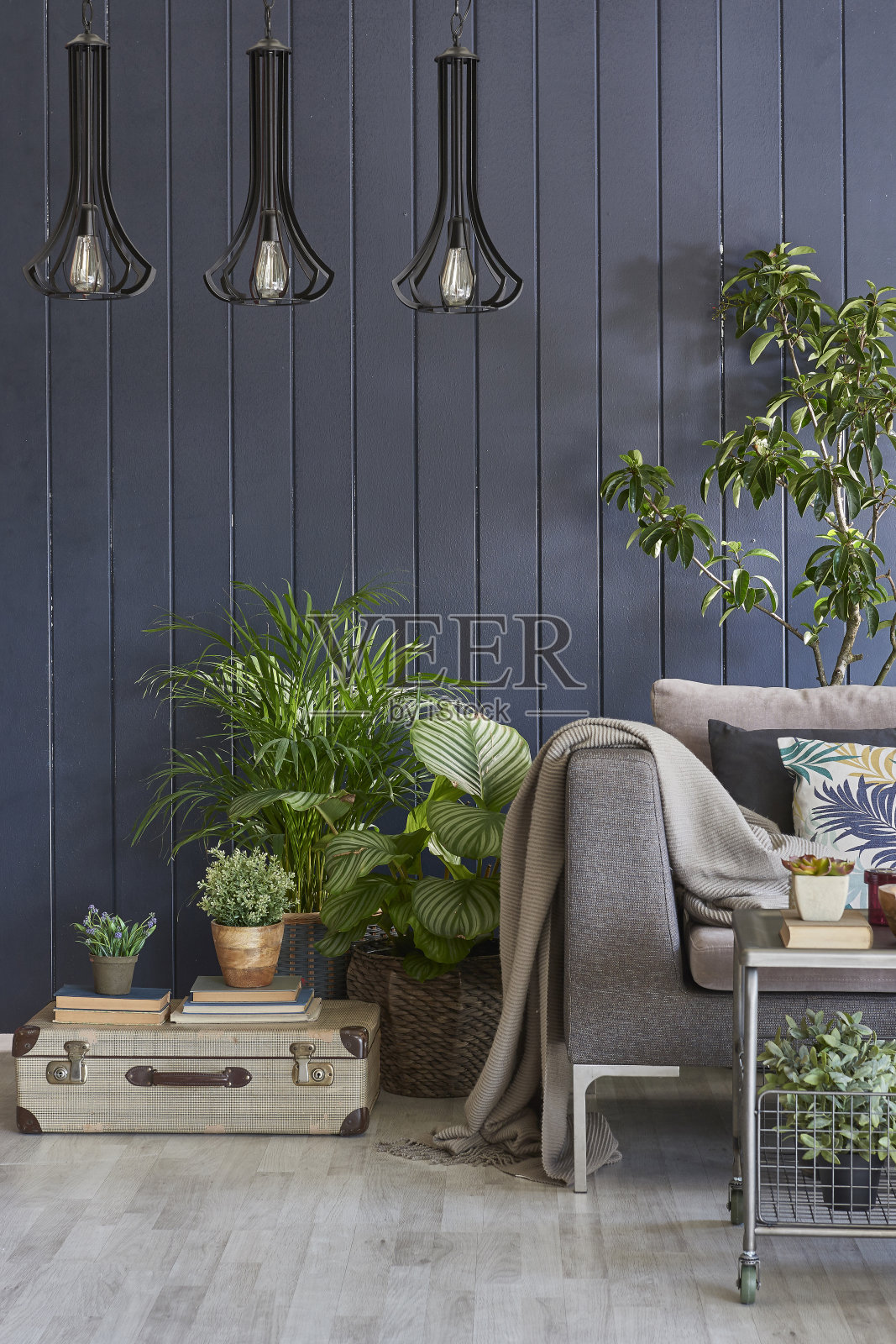 家居室内客厅设计风格照片摄影图片