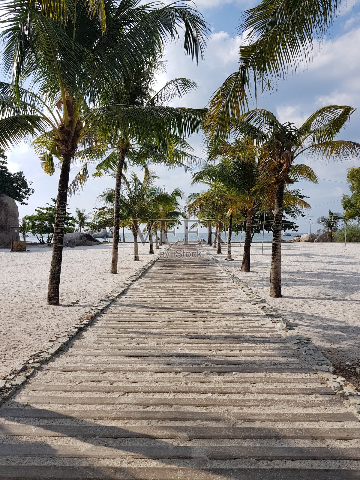 可以看到沙滩上的椰子树和明亮的天空照片摄影图片