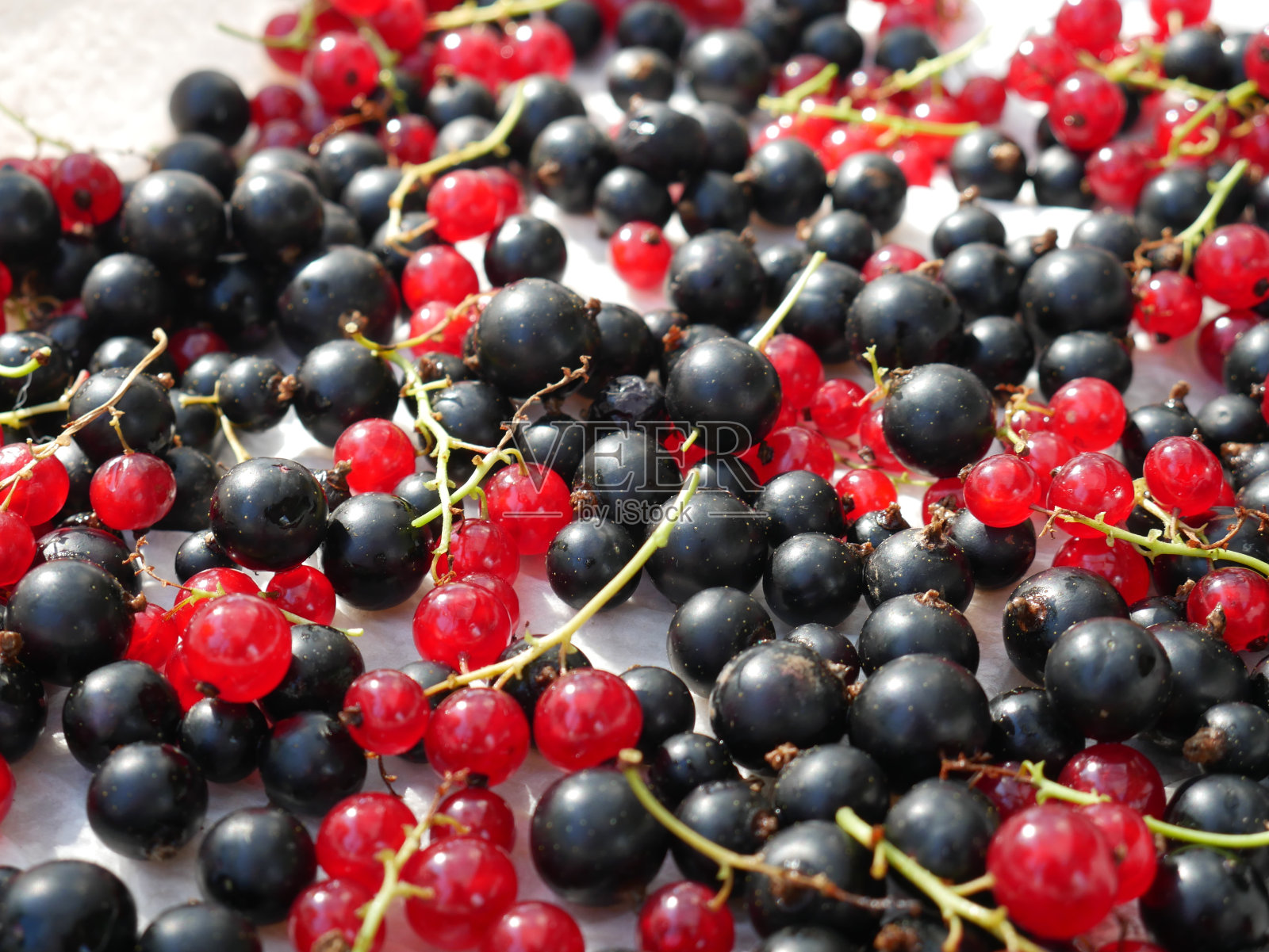桌子上有黑醋栗和红醋栗。特写镜头照片摄影图片