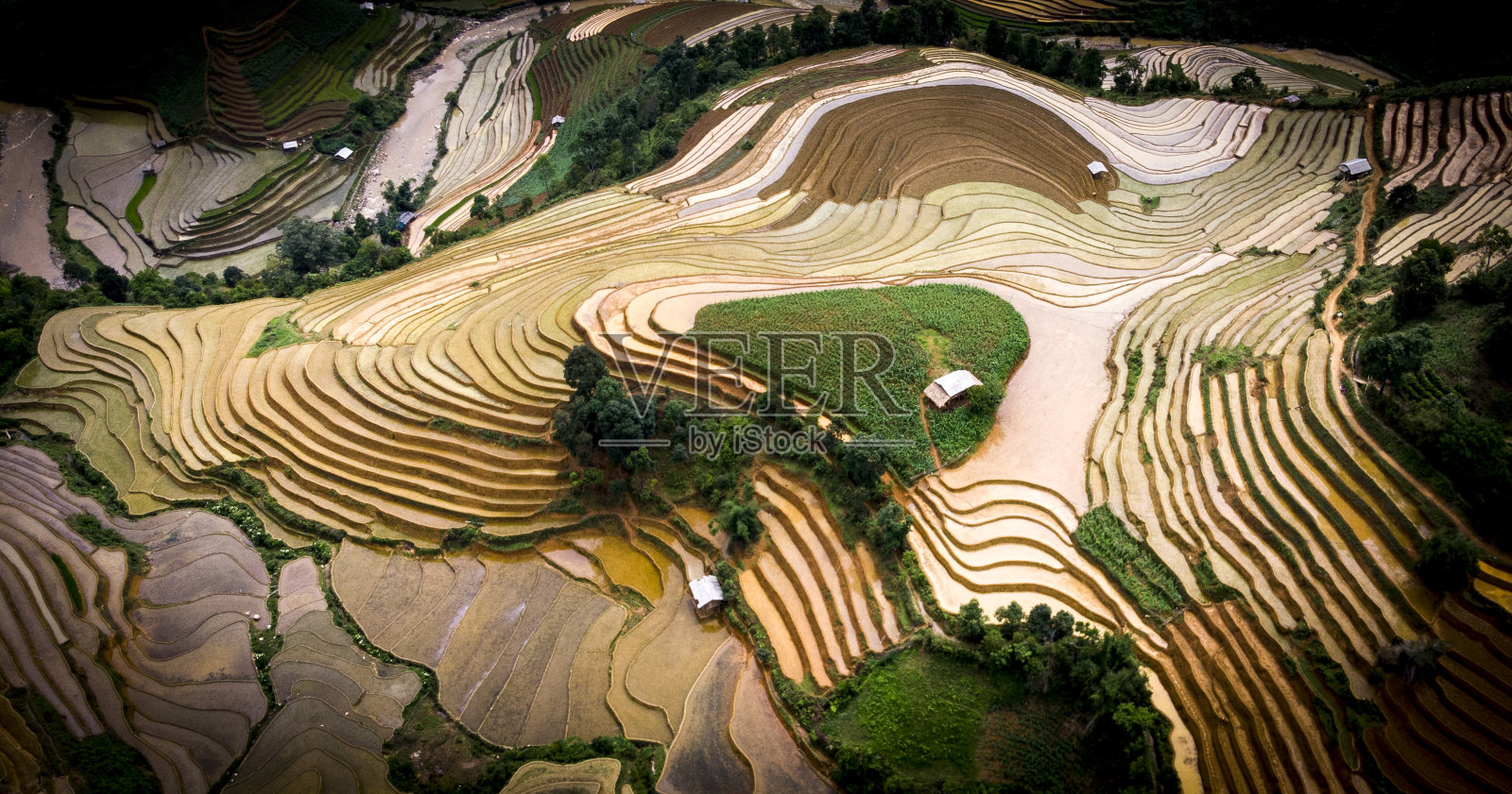 越南的木仓寨，有水的稻田照片摄影图片