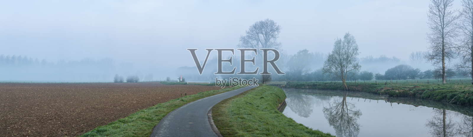 日出时田野上的树木照片摄影图片