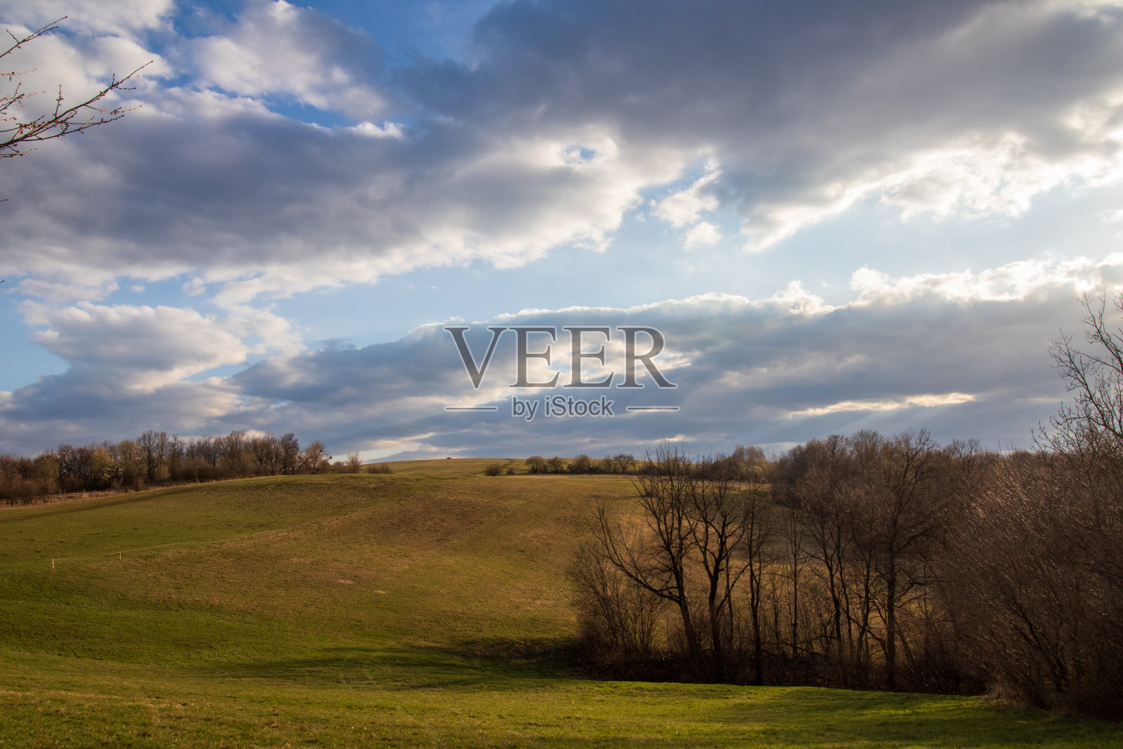 景观与树木，山丘和天空照片摄影图片