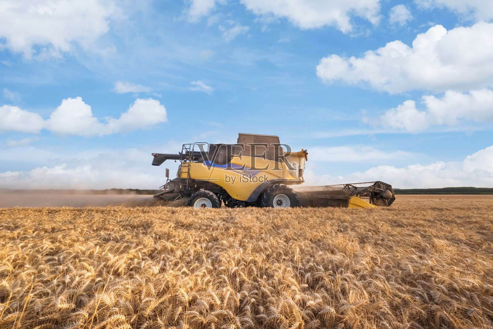 小麦收成照片摄影图片