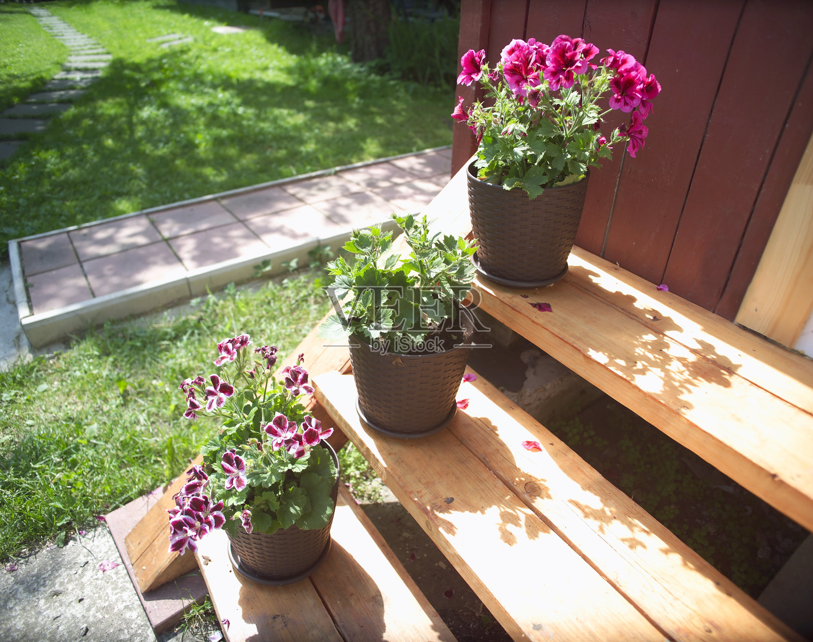 装饰玄关照片摄影图片