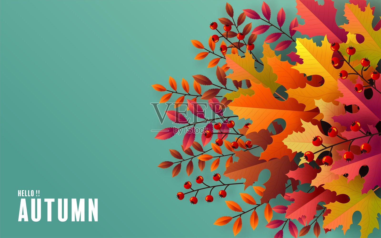 004年秋插画图片素材