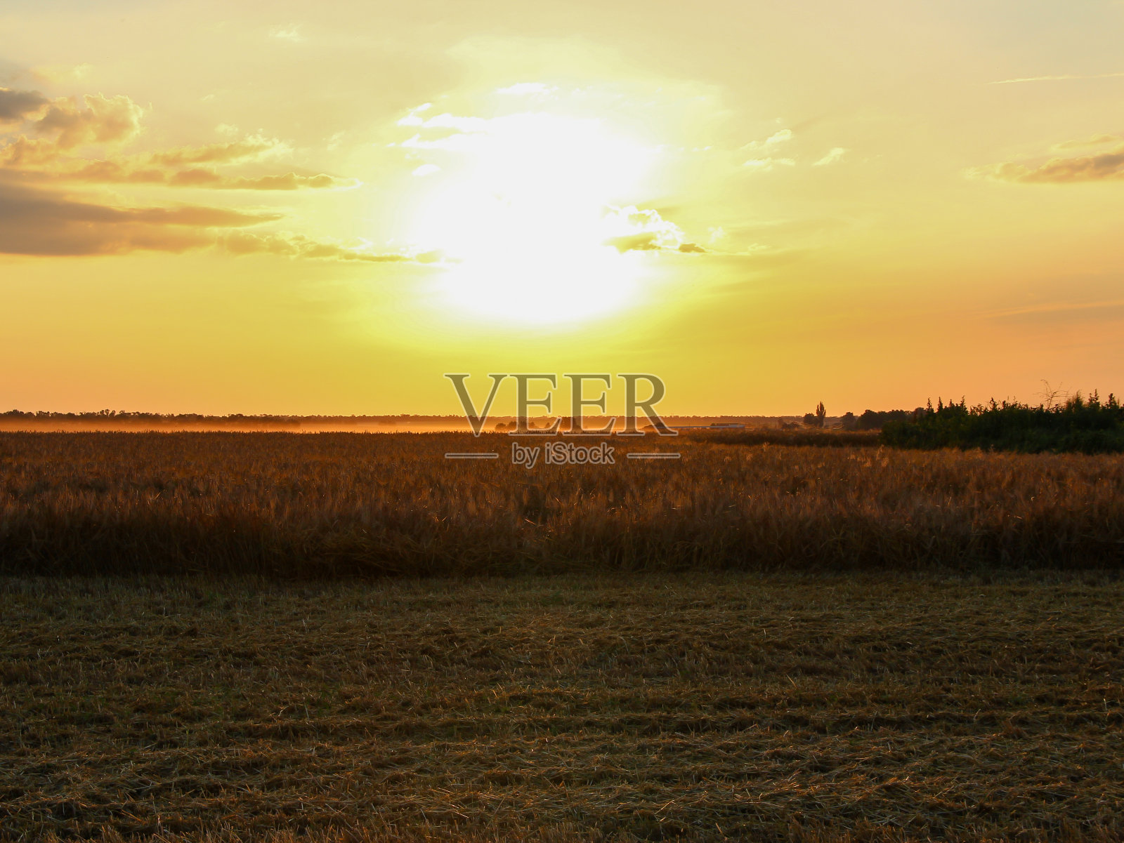 在一个炎热的晚上，麦田里的收割者照片摄影图片