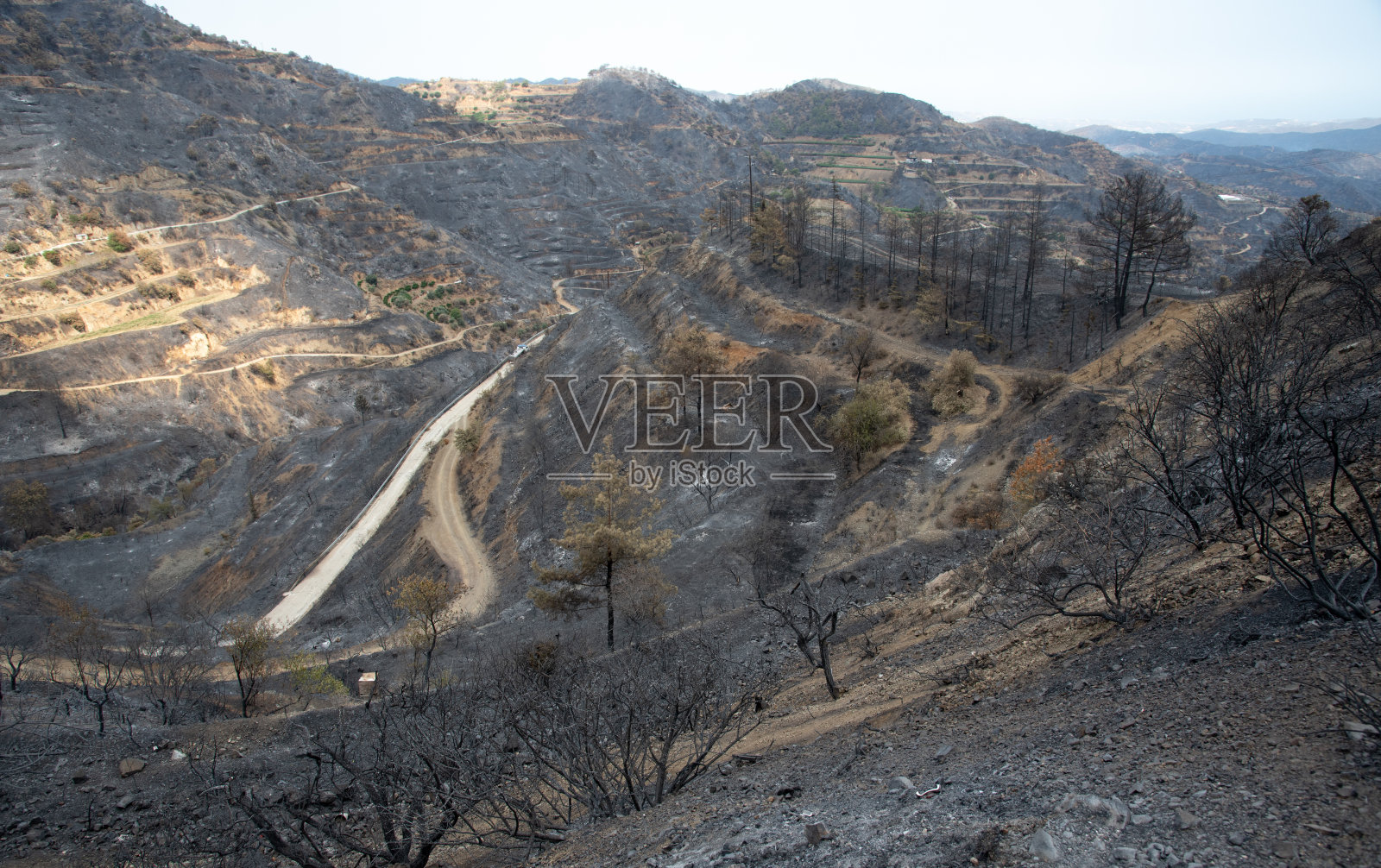 山火和烧毁的农田和森林。Odou村塞浦路斯。环境灾难照片摄影图片