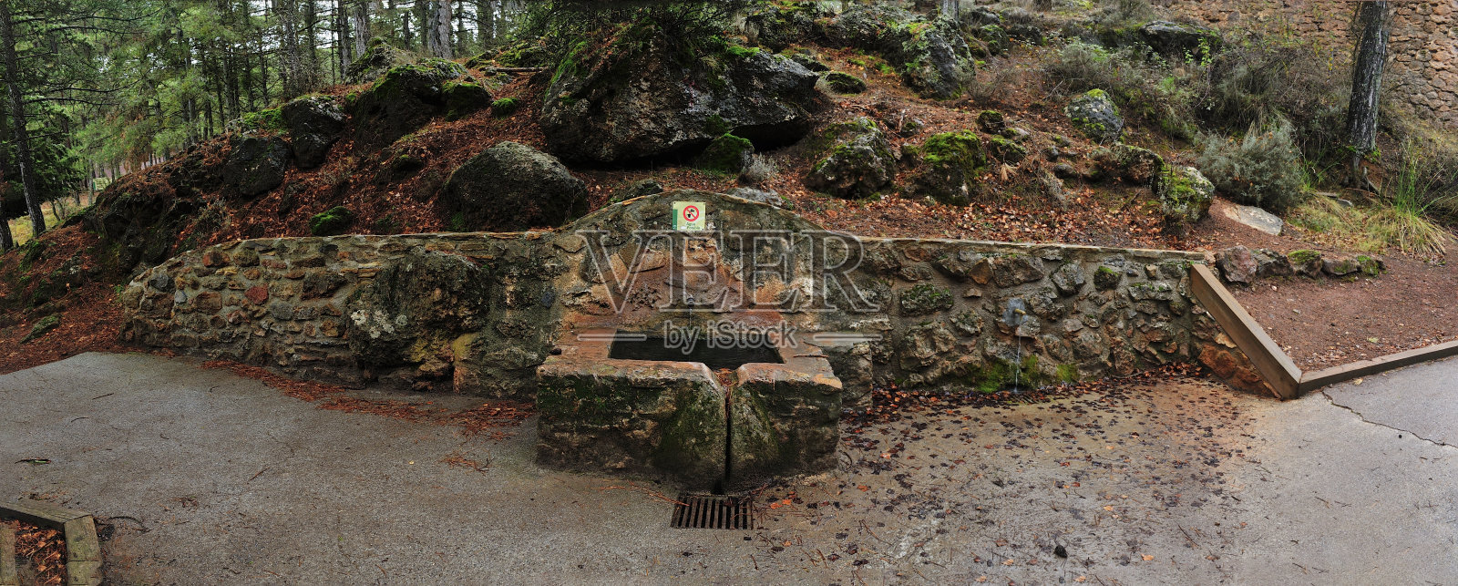 喷泉，在森林景观照片摄影图片