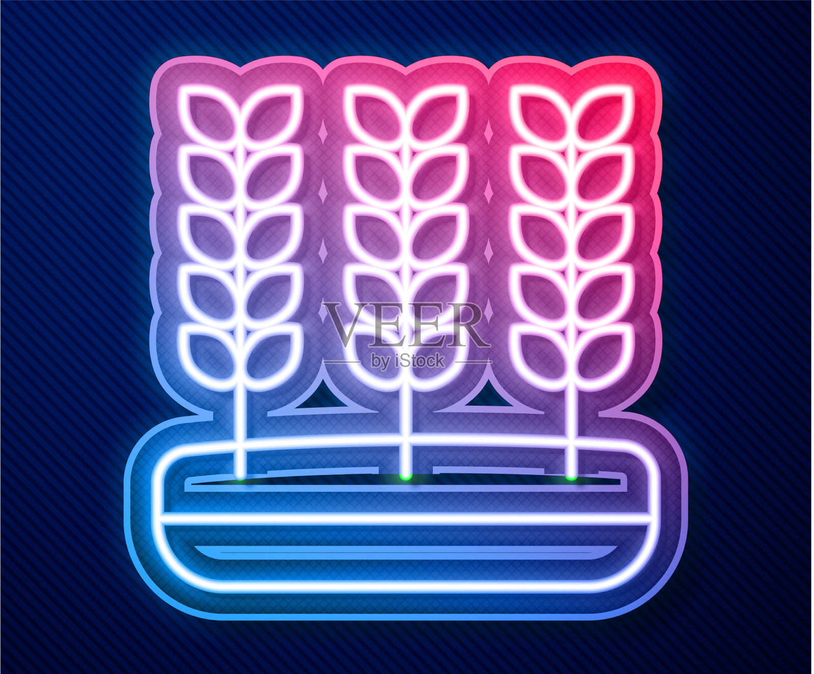 发光的霓虹线谷物与水稻小麦插画图片素材