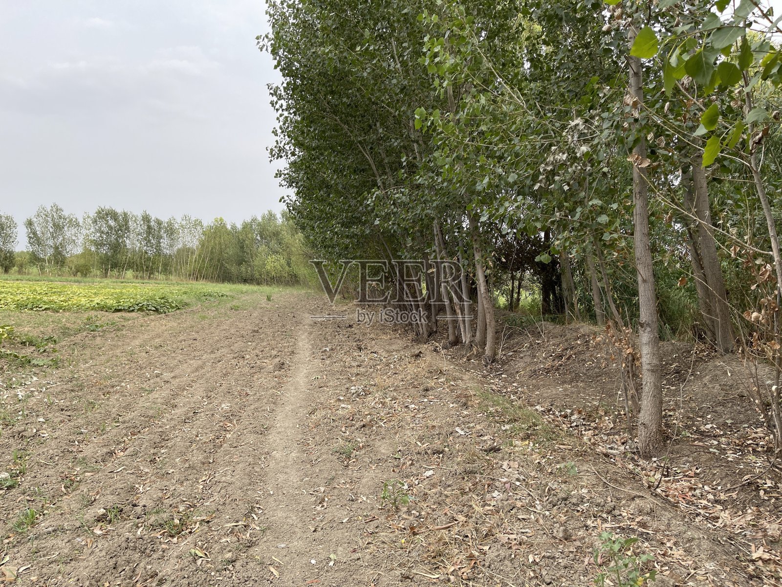 轻松自然的地方照片摄影图片