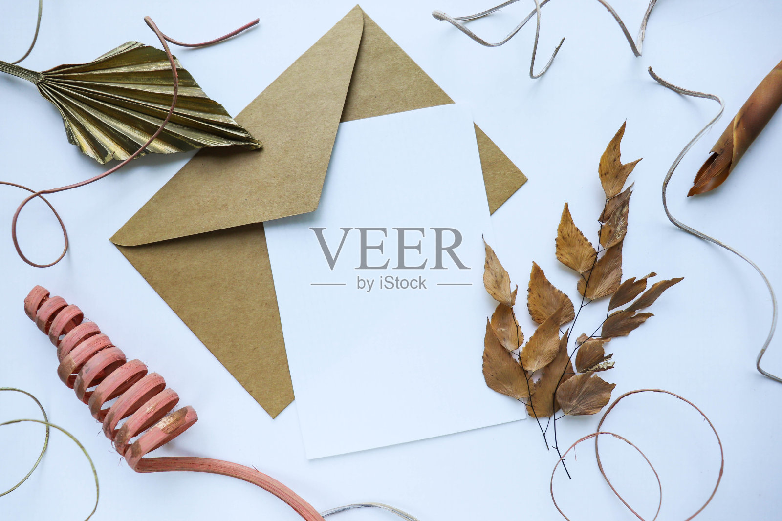 秋天的枯花、枯叶和枯枝组成照片摄影图片