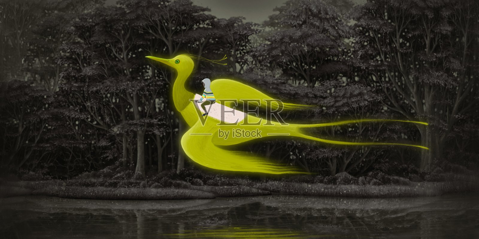 鸟插画图片素材