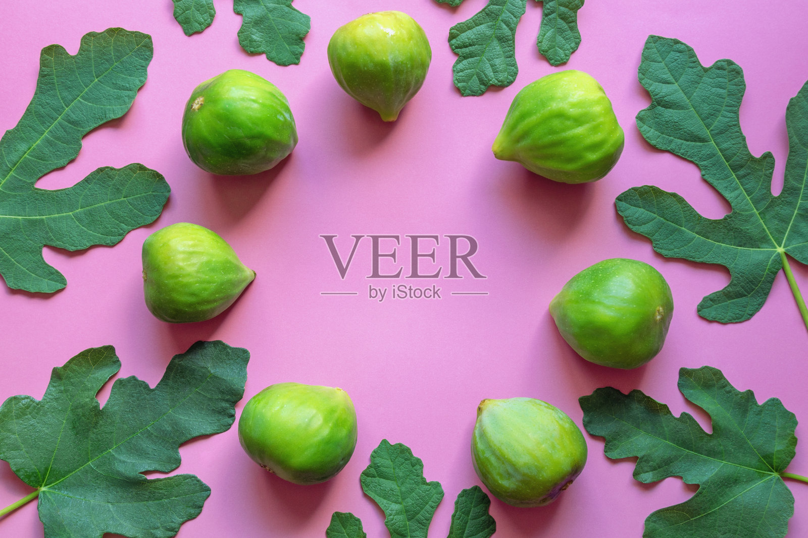 成熟的无花果和无花果树上的绿叶。本空间照片摄影图片