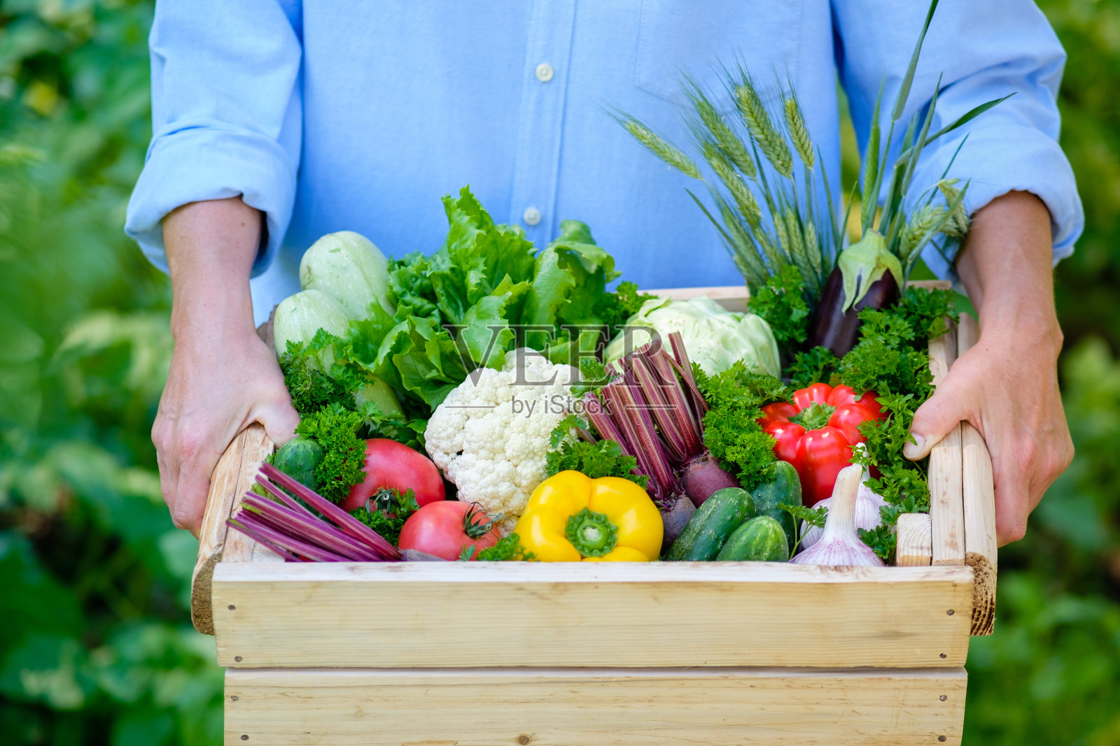 农妇拿着装满新鲜生蔬菜的木箱子。收获的概念。照片摄影图片