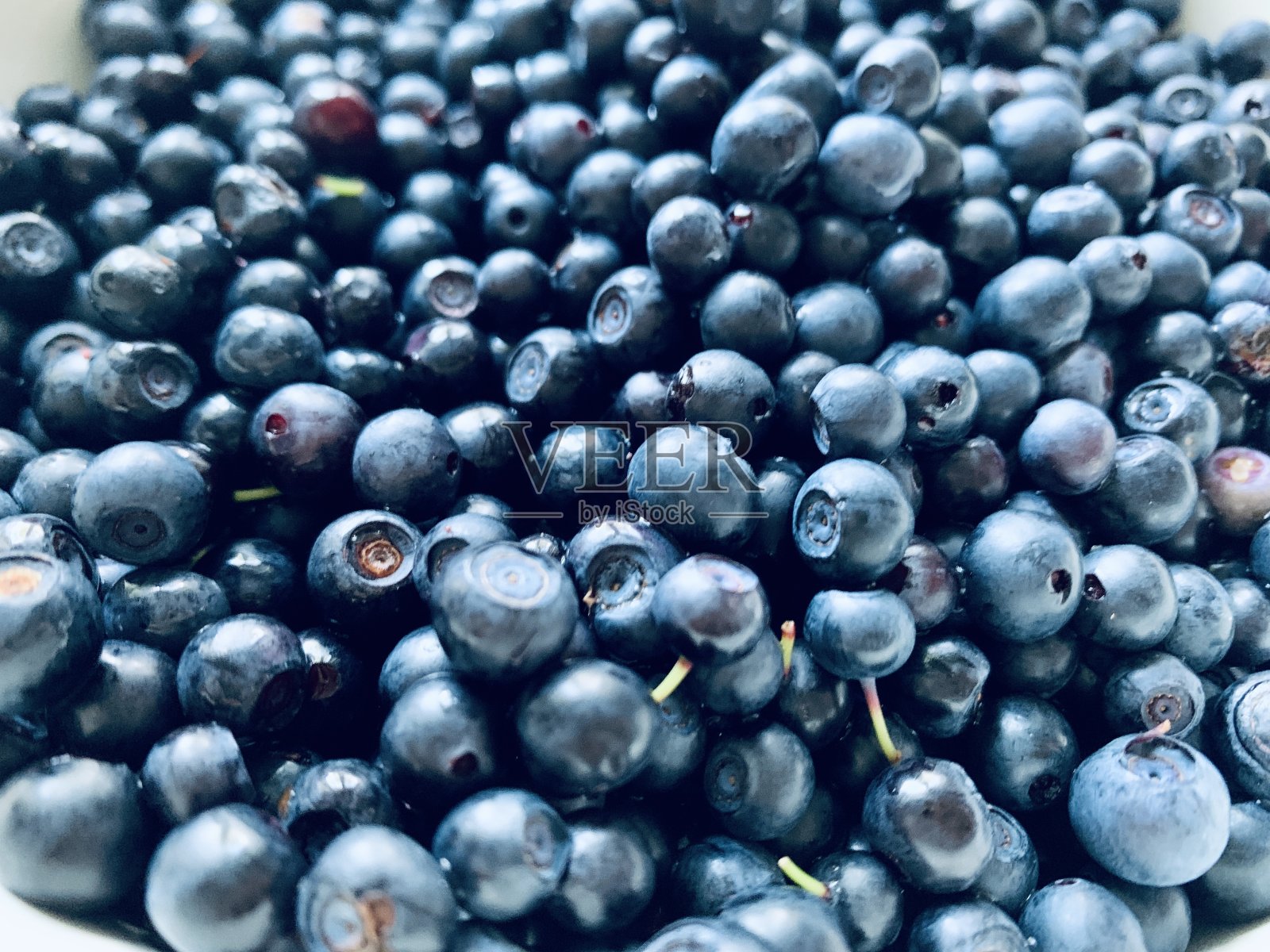 蓝莓的背景照片摄影图片