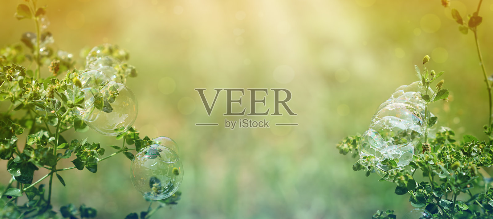 绿叶上的肥皂泡照片摄影图片