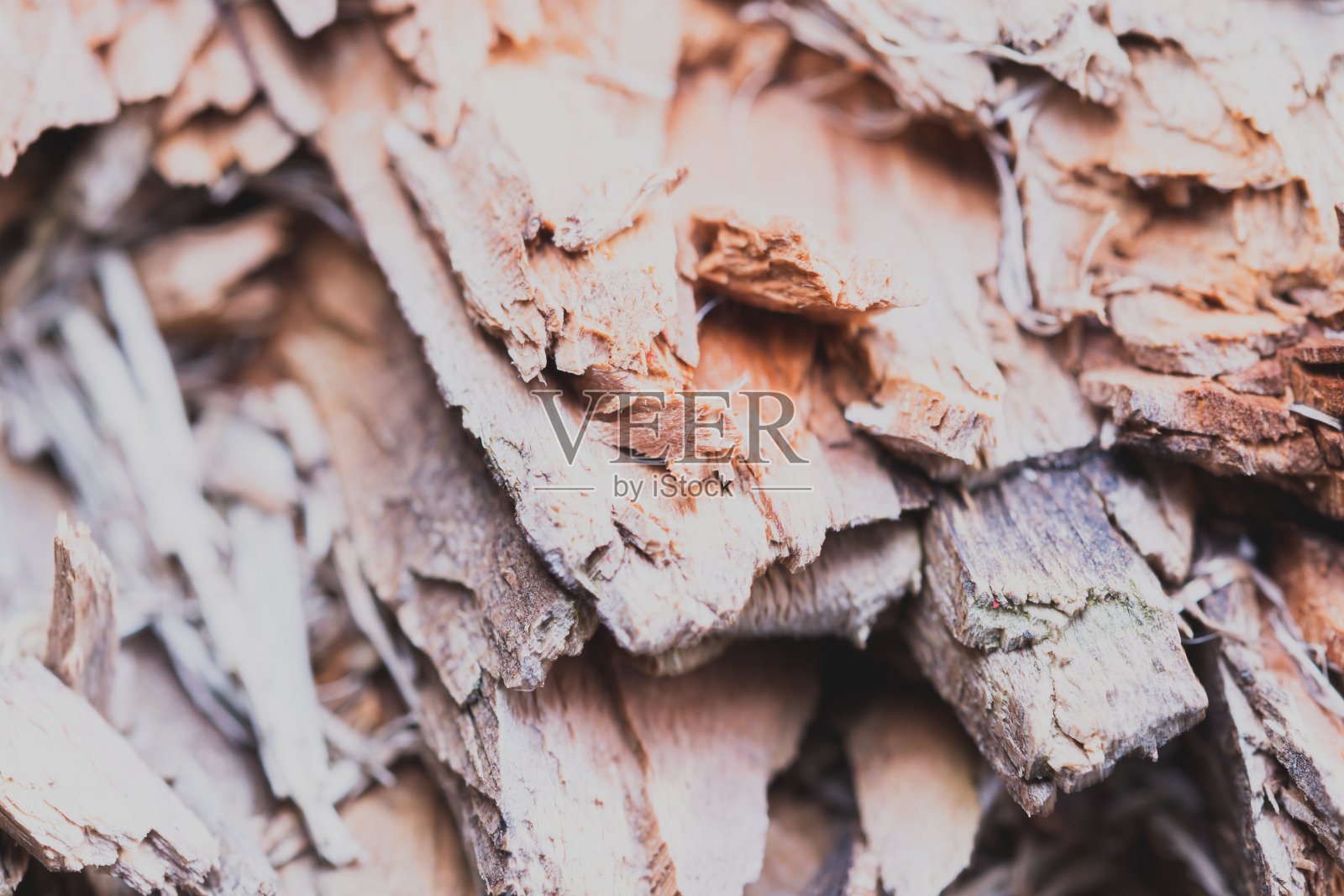 木头的纹理照片摄影图片