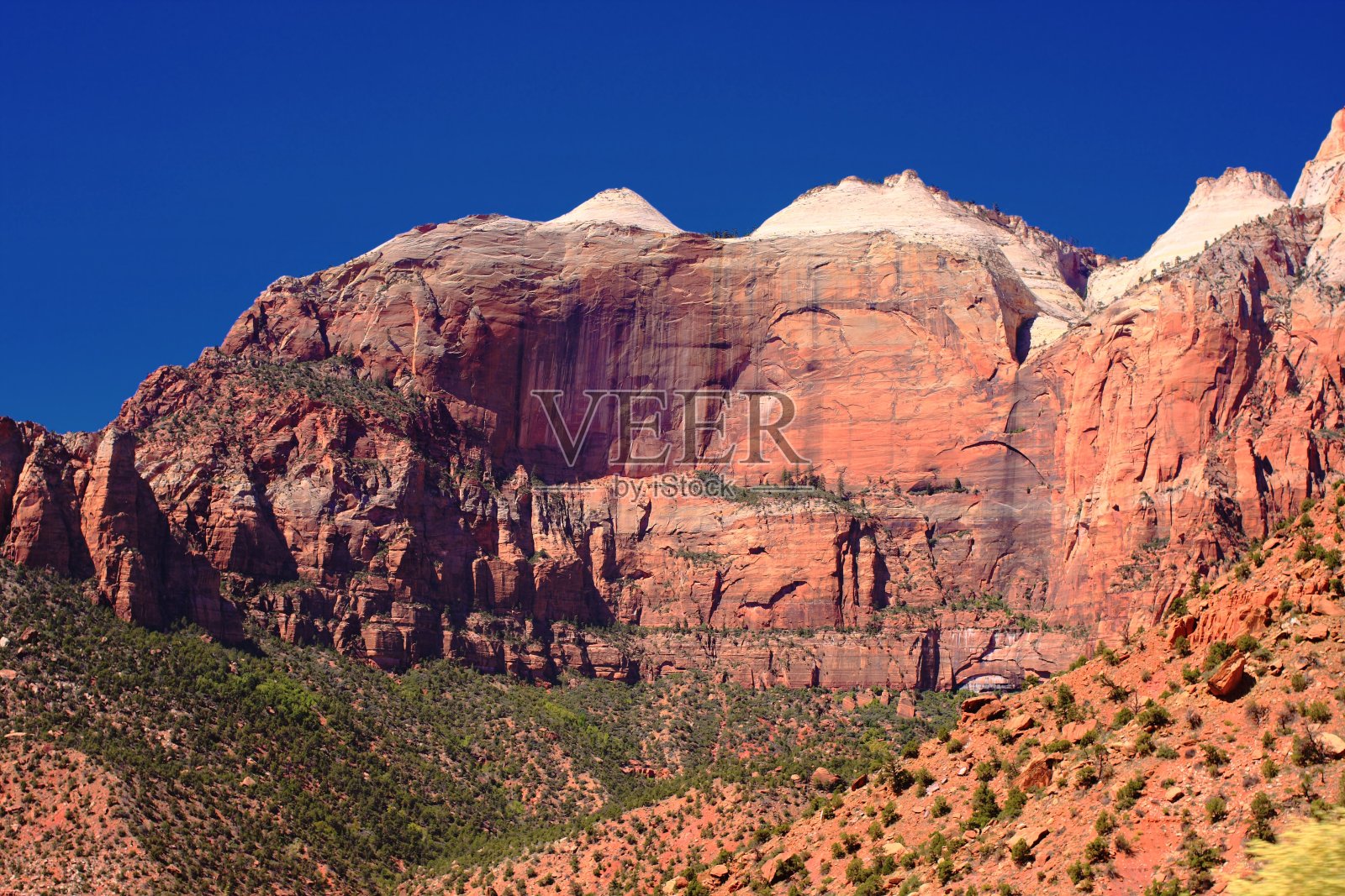 美国犹他州锡安国家公园景观照片摄影图片