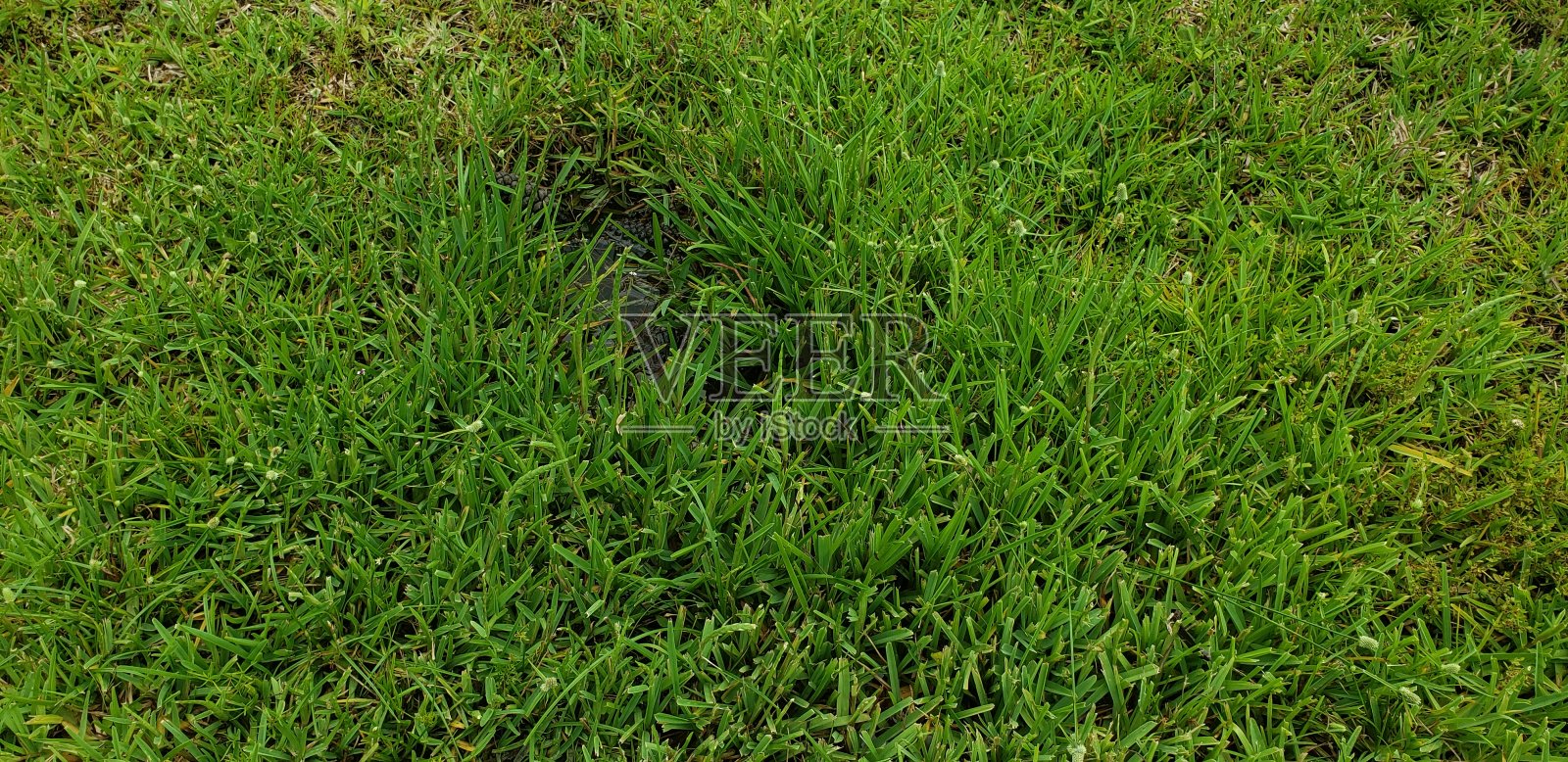 埃尔莎飓风之前，基础设施遭到破坏照片摄影图片