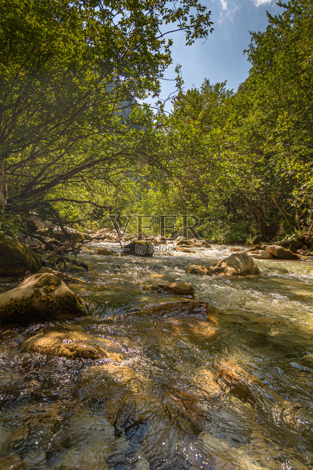 美丽清澈的自然湖照片摄影图片