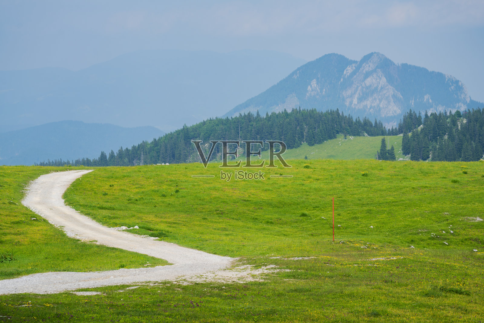 鹿角的上部，欧洲斯洛文尼亚的大草原照片摄影图片