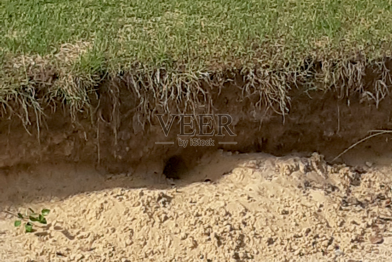 自然照片摄影图片