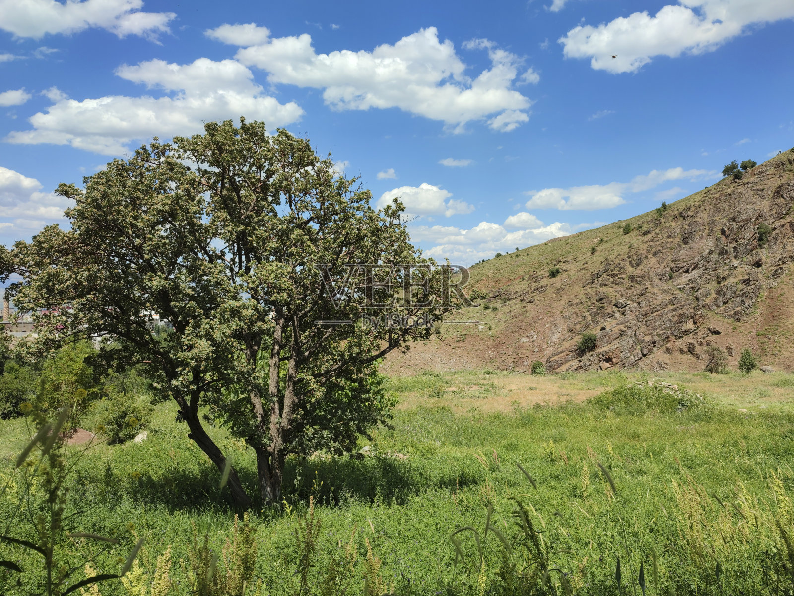 晴朗的天空，田野和群山。照片摄影图片