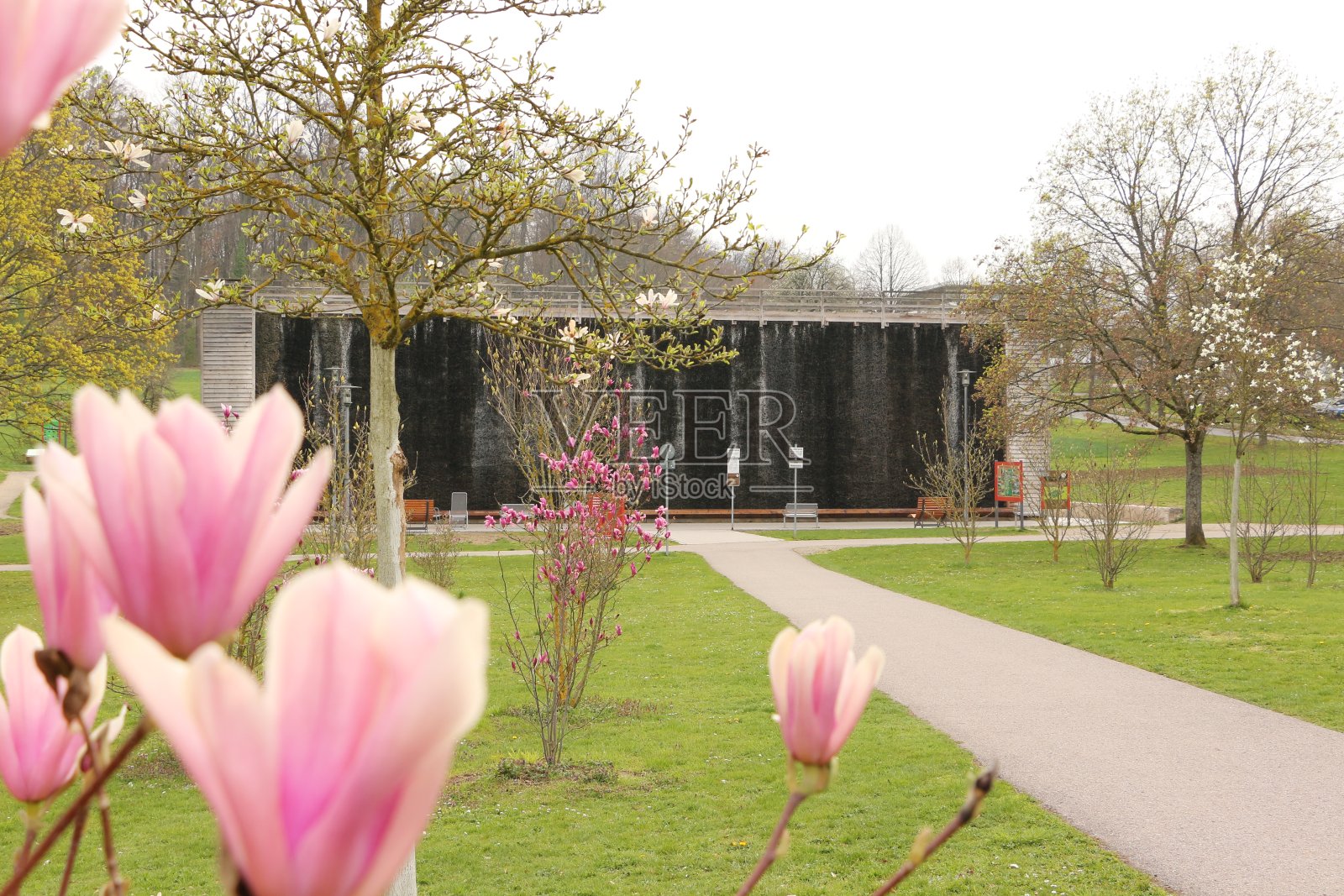 Bad Rappenau的春天照片摄影图片