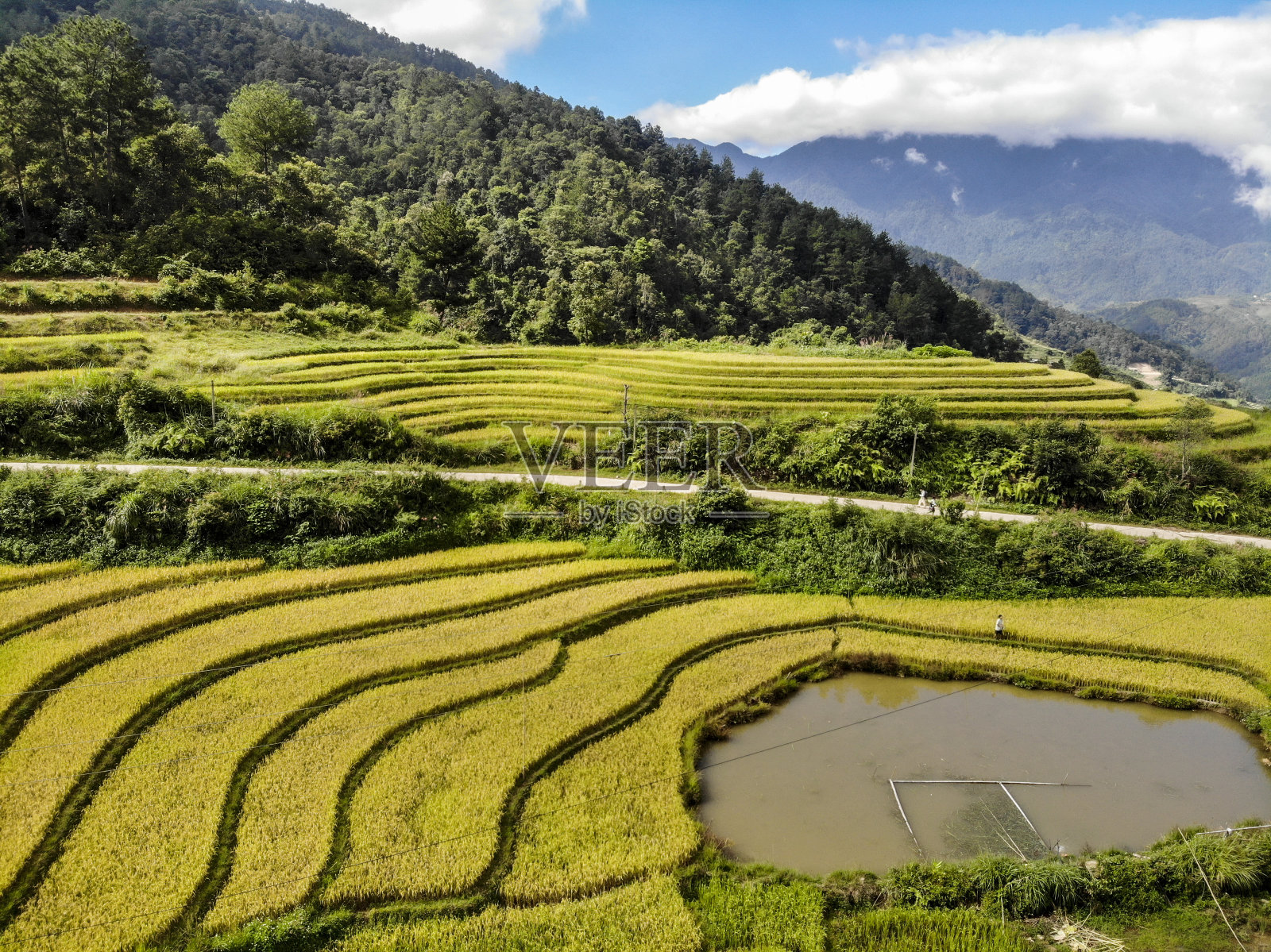 越南北部的木仓寨有很好的稻田照片摄影图片