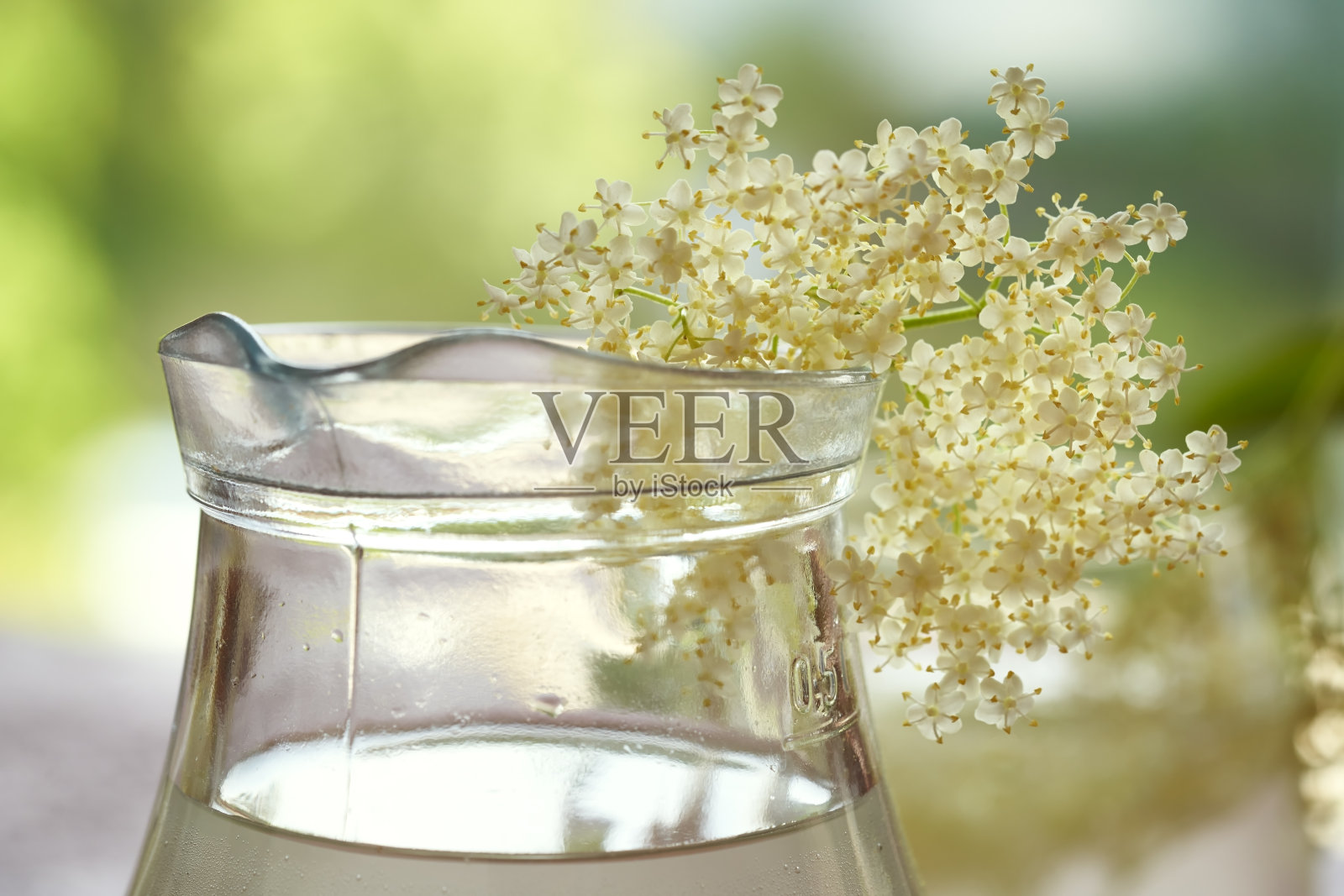 新鲜接骨木花放在一壶自制柠檬水上照片摄影图片