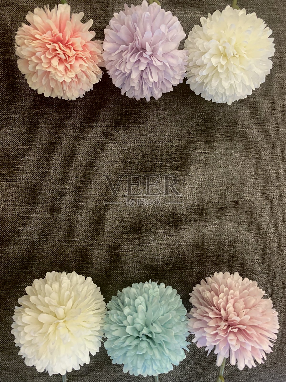 花3照片摄影图片